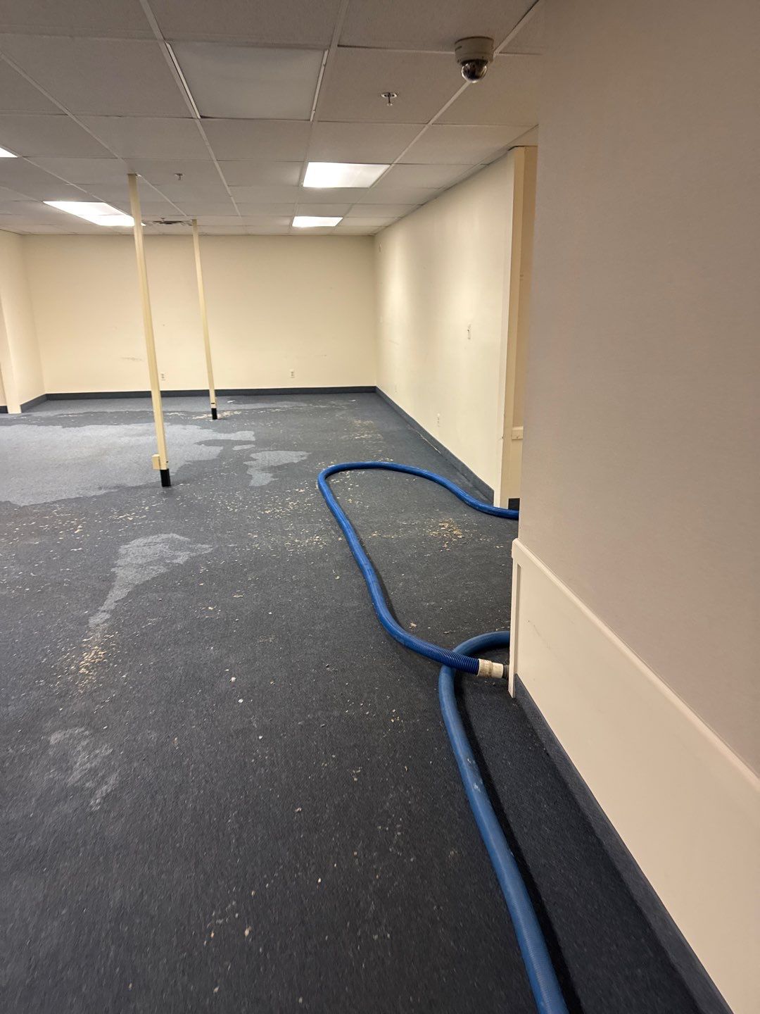 Project in Warren by EzDry Water Mitigation & Property Restoration