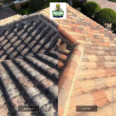 Tile Roof Cleaning for Winter Park Residence