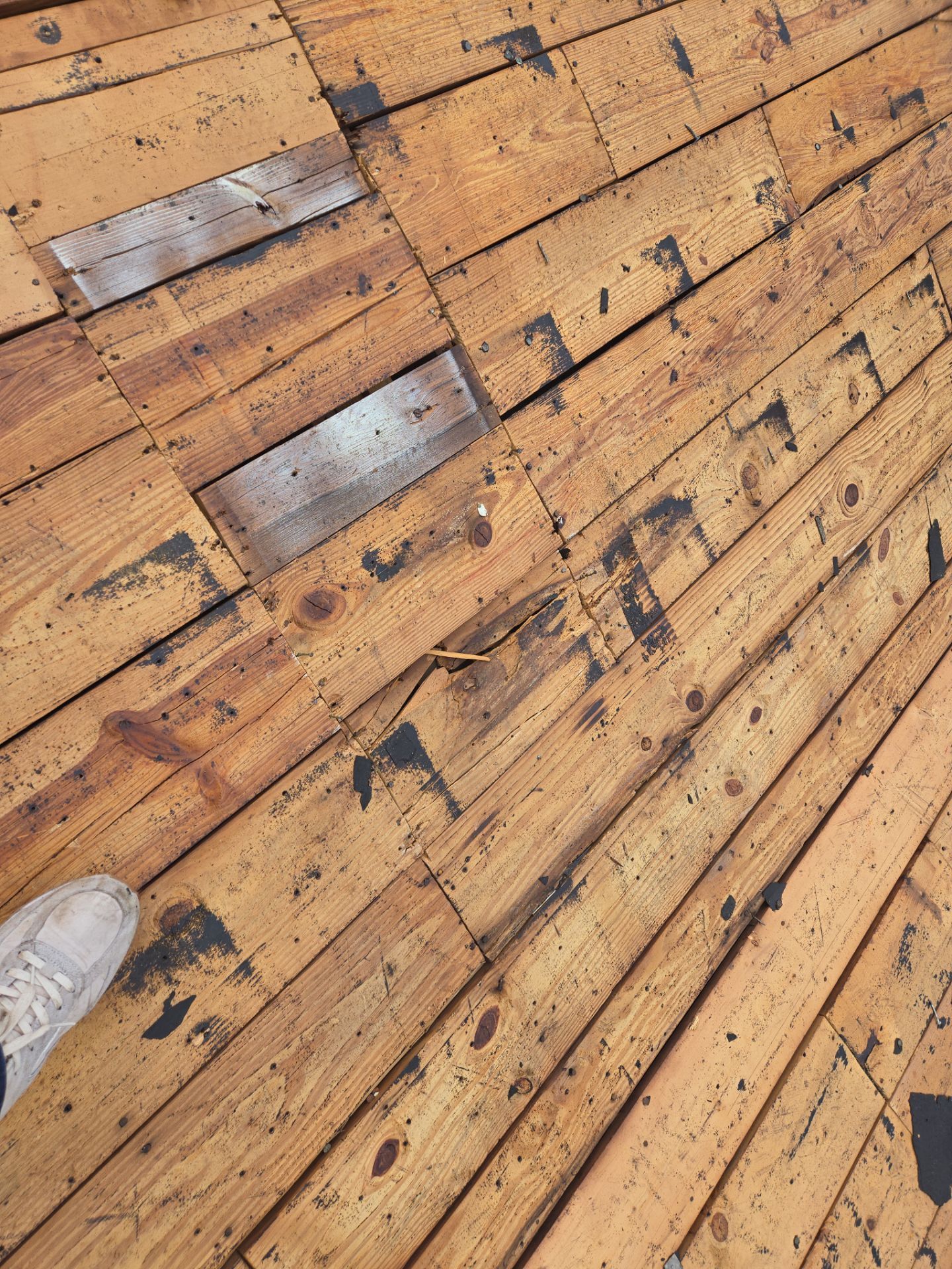 Project in St. Petersburg 33704 by Mitchell Roofing Company LLC