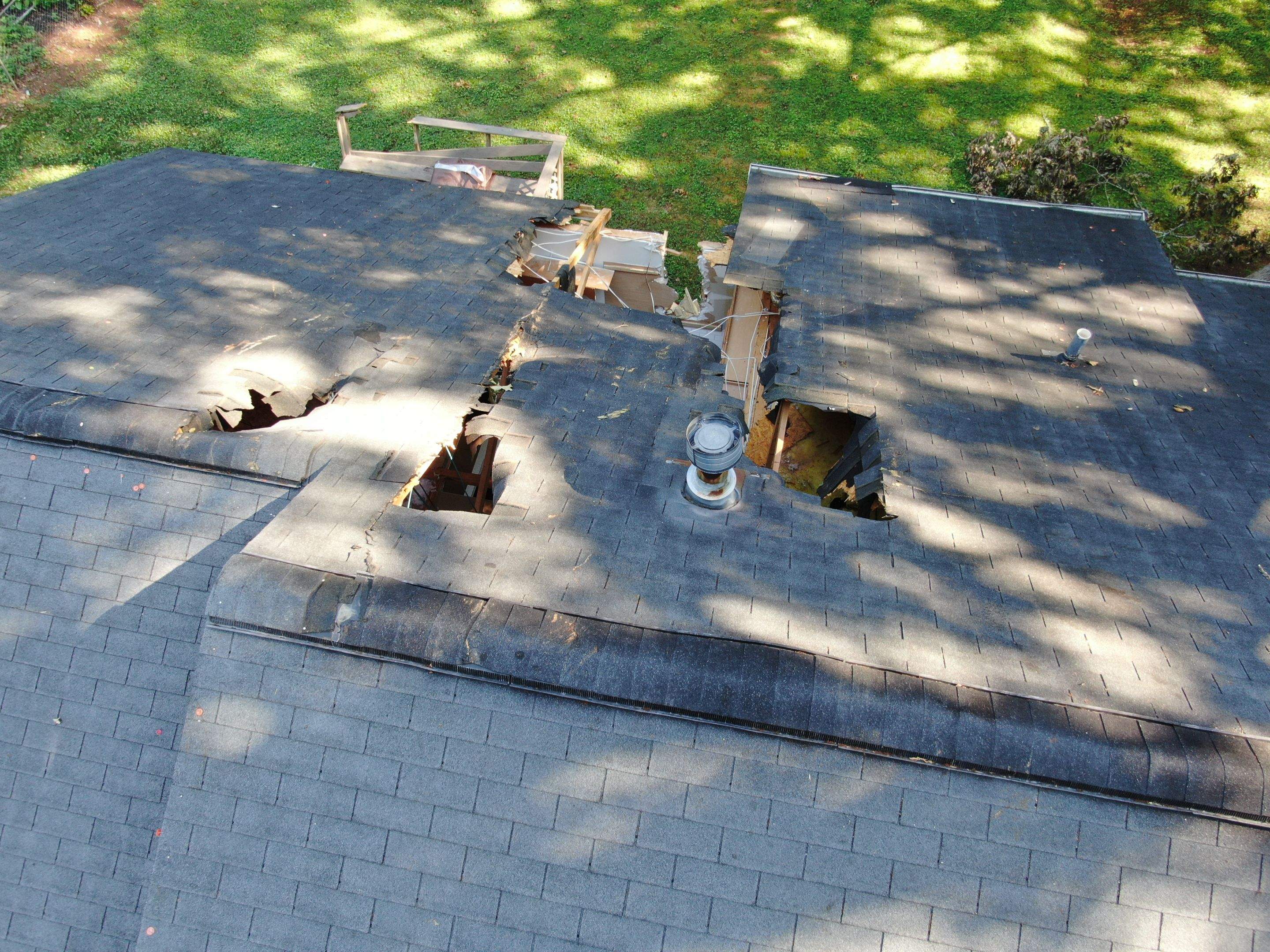 Tree Damage  by Ajayi Design and Construction 