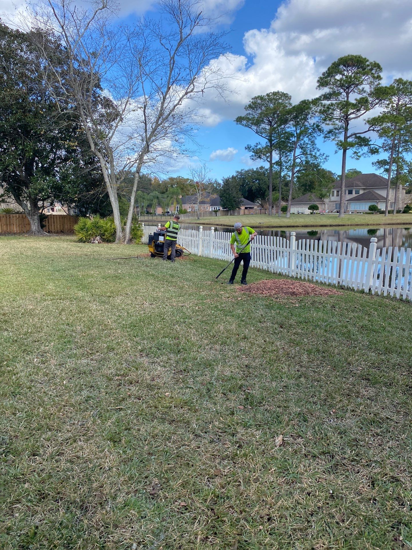 Deerwood Resident | Tree Removal & Palm Trimming by ProGreen Services