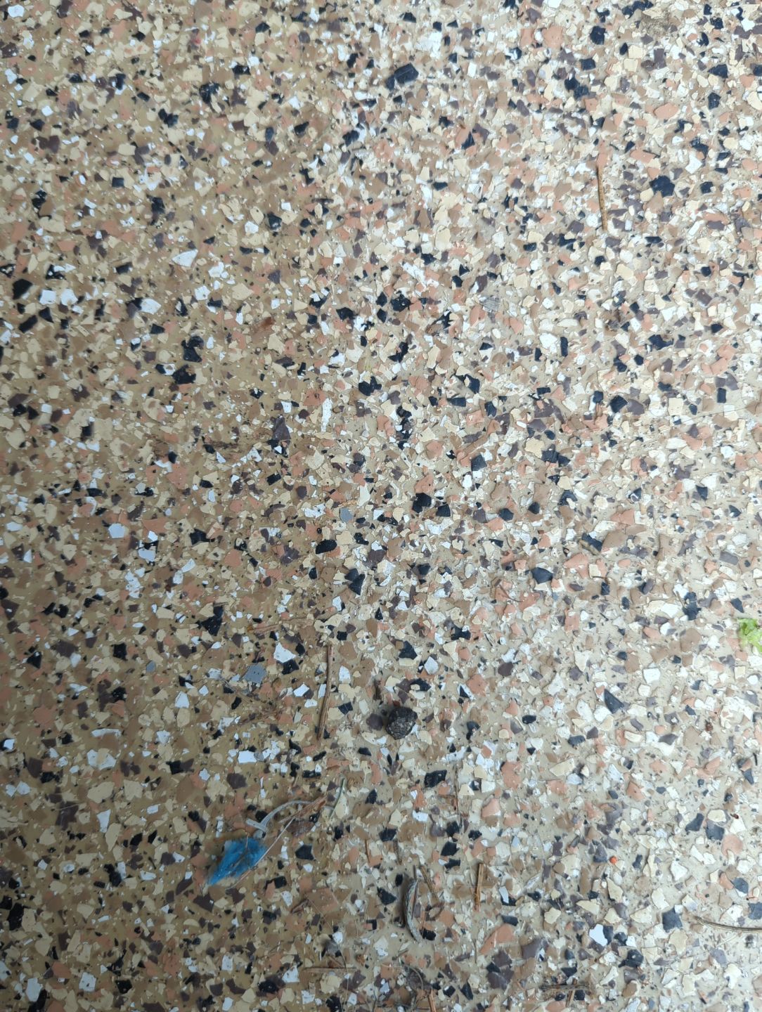 Sandstone Chip Garage and Shop Floor Coating in Sandpoint by Croc Coatings, LLC
