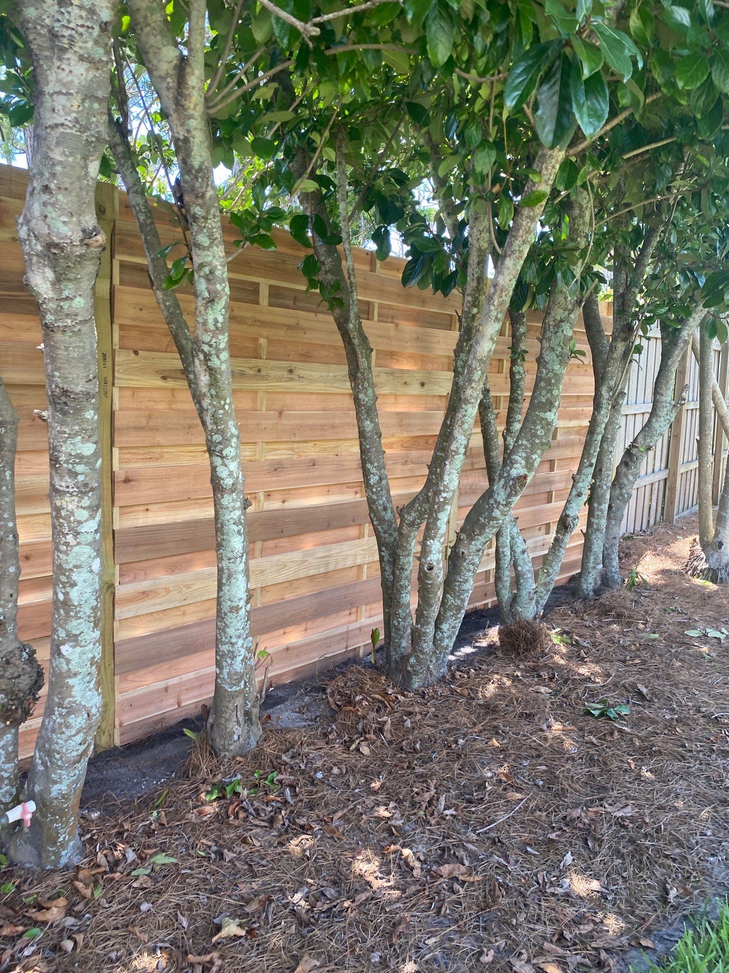 1657 Bayshore Dr  by H&Y Fence