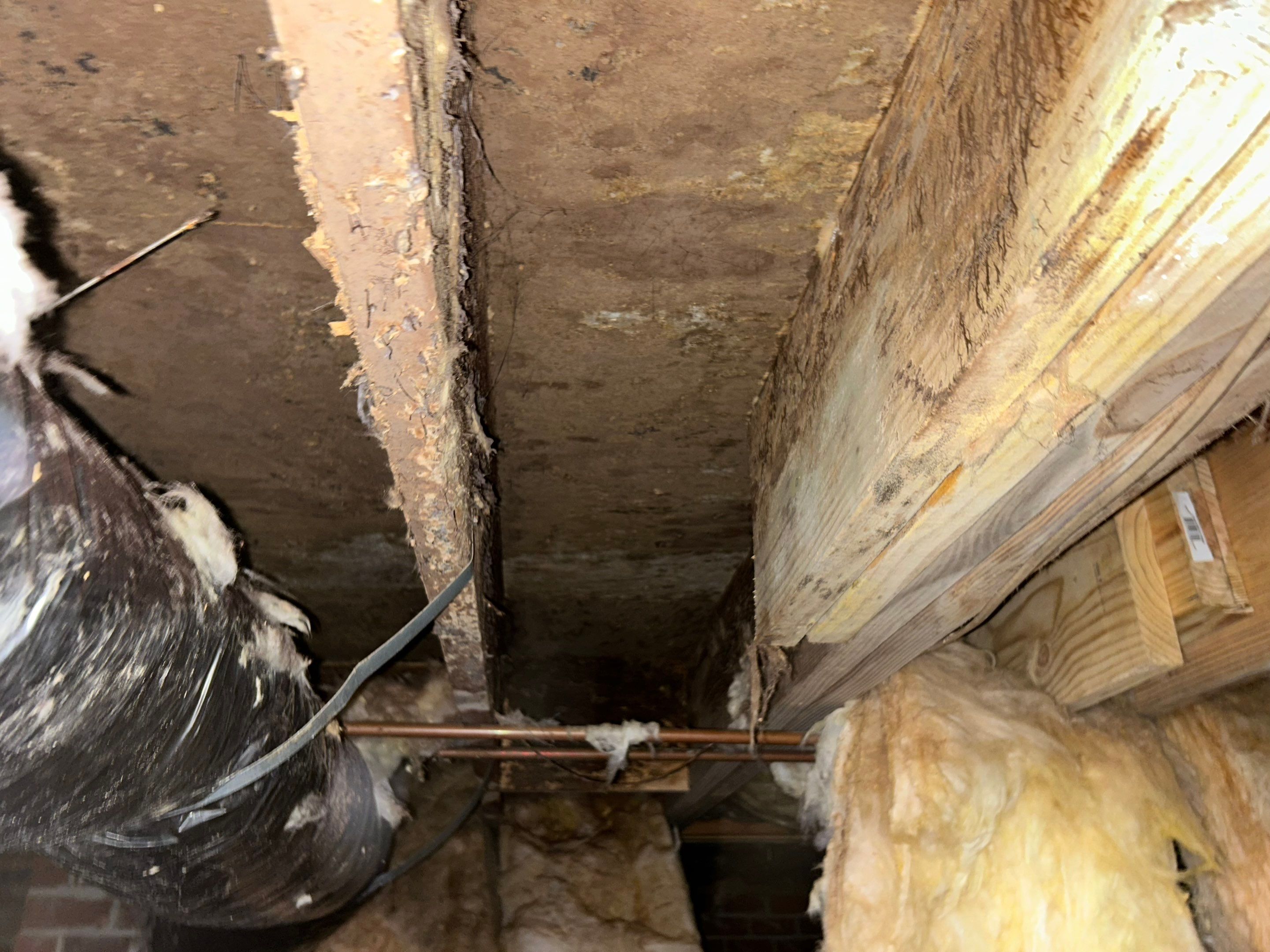 Structural Repairs inludiing sub-floor removal, new floor joists installed, girder replacmeent and dropped girder installed. by Impact Crawlspace