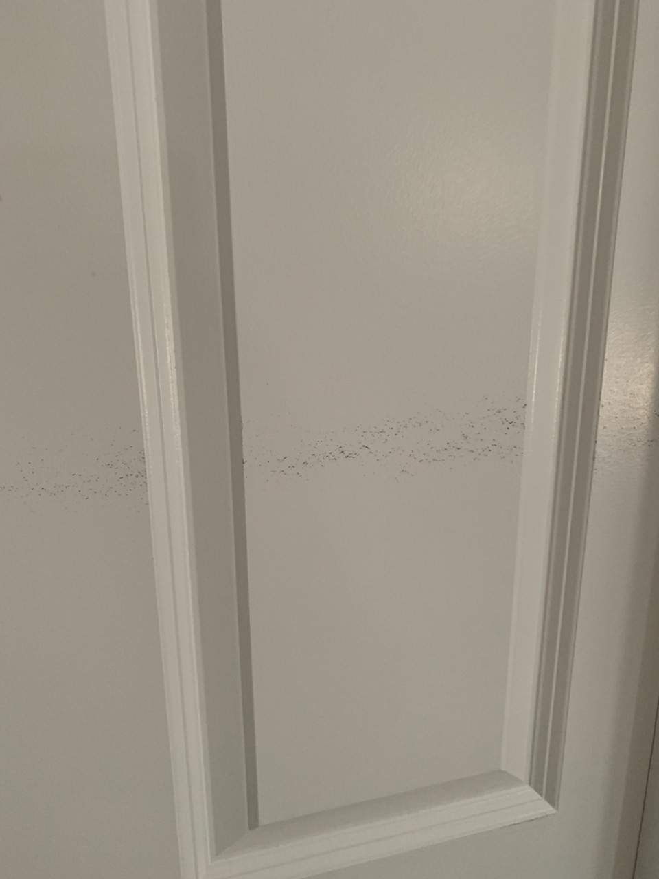 Kitchen and Laundry Remodel by Ivy Lea Construction