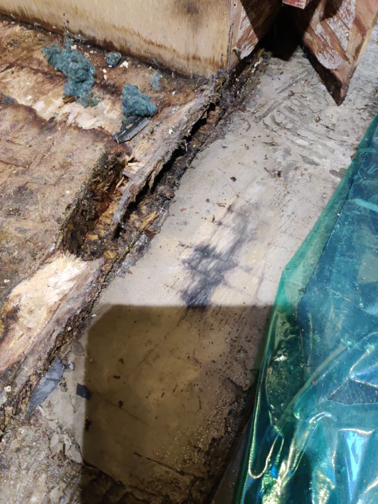 Mold Remediation using Containment by Accountable Home Services