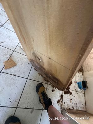 Flood Damage Cleanup — Naples, FL