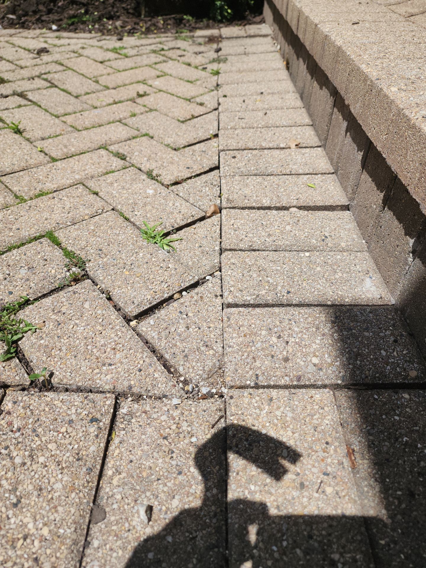 Brick paver repair, cleaning and sealing by Northern Power Washing LLC.