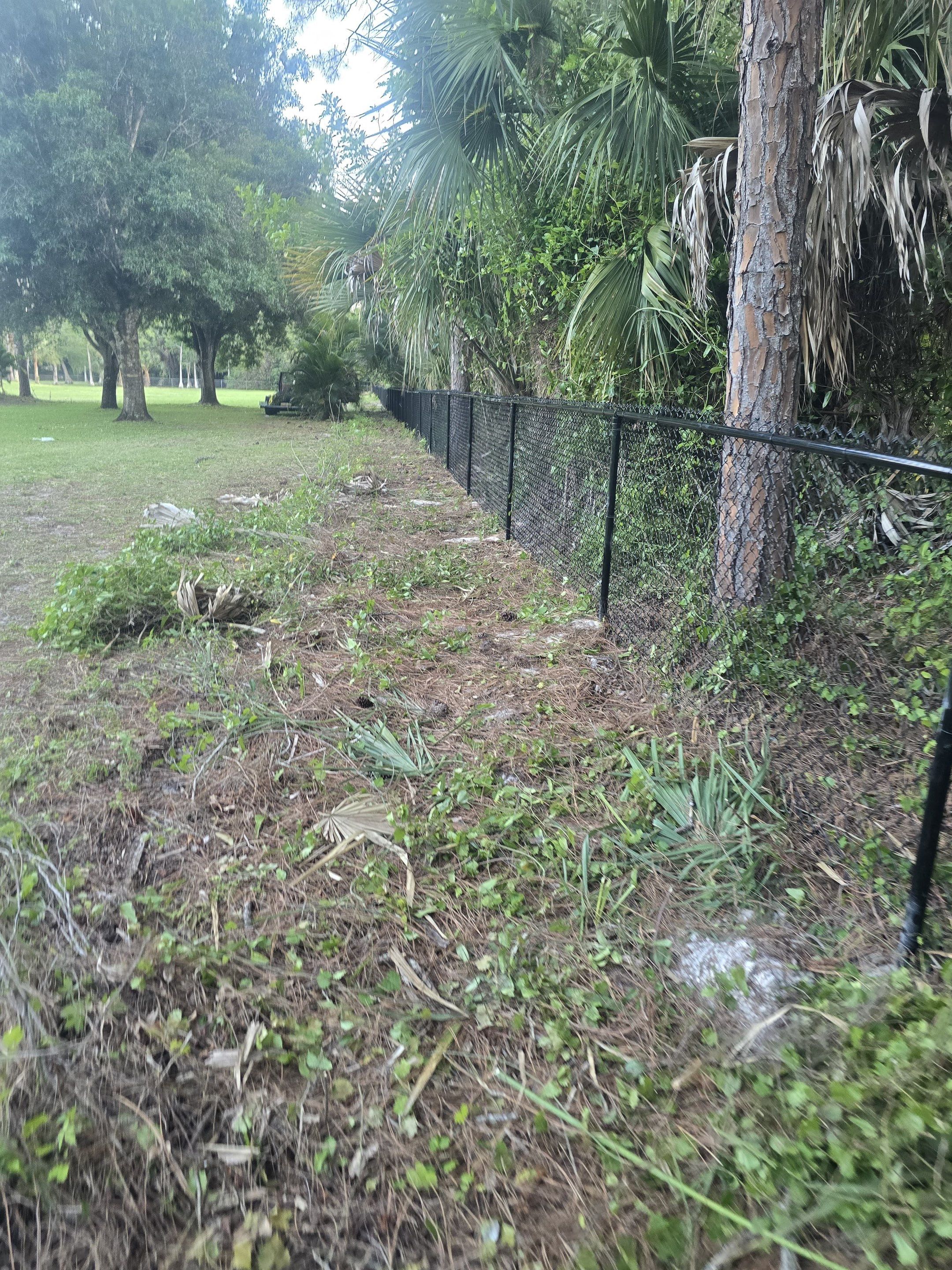 Chain Link Fence in Naples by True Fence LLC