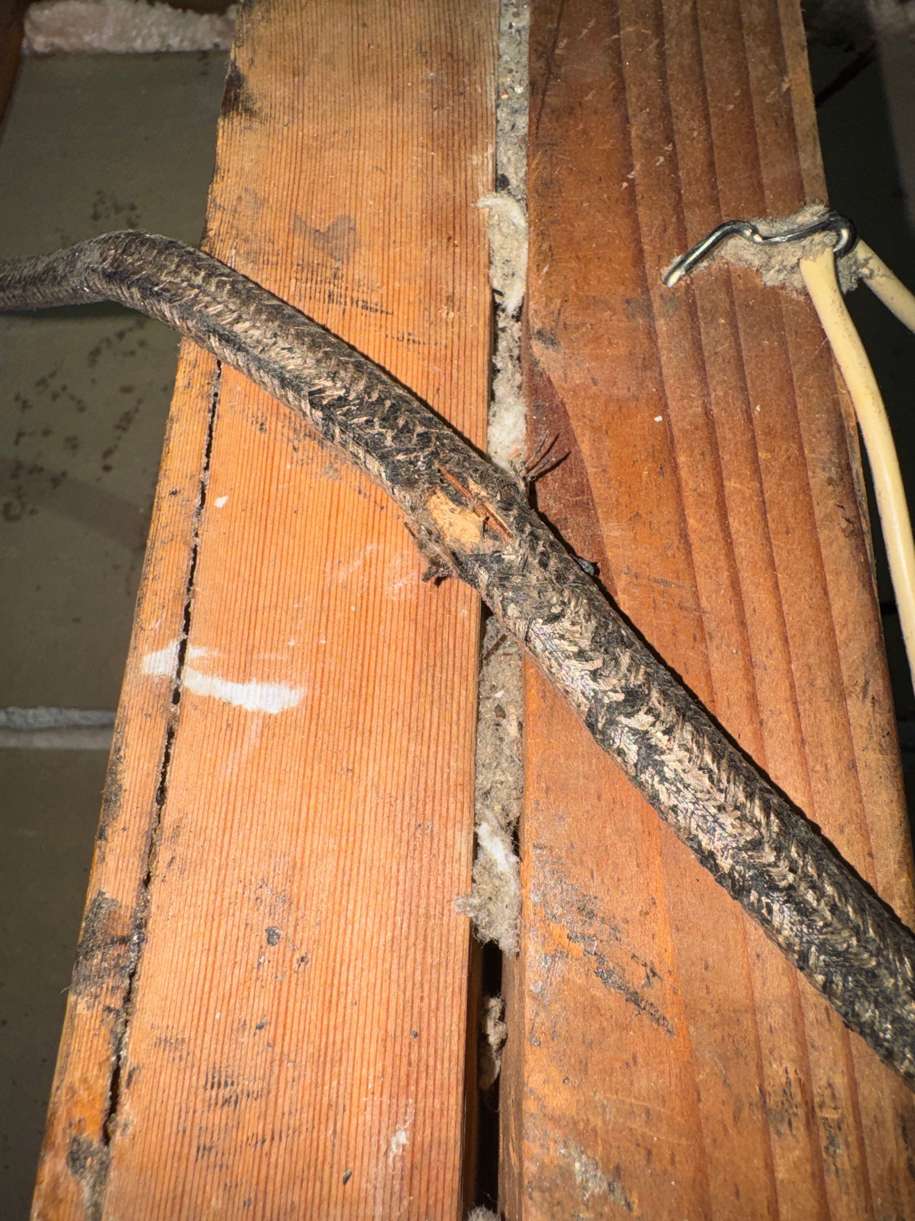 Partial Rewire in Everet by Renew Electric