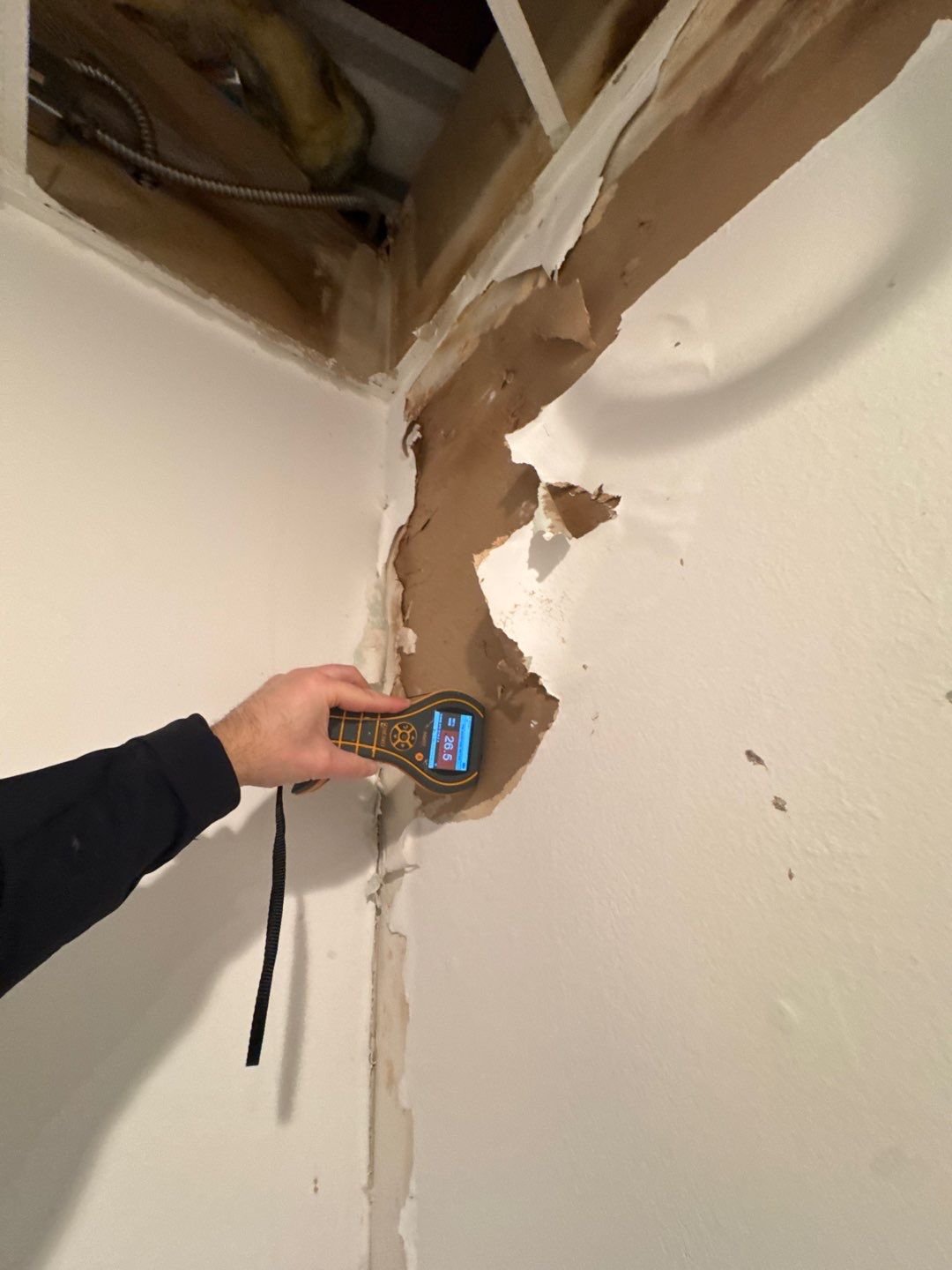 Project in Commerce Twp by EzDry Water Mitigation & Property Restoration