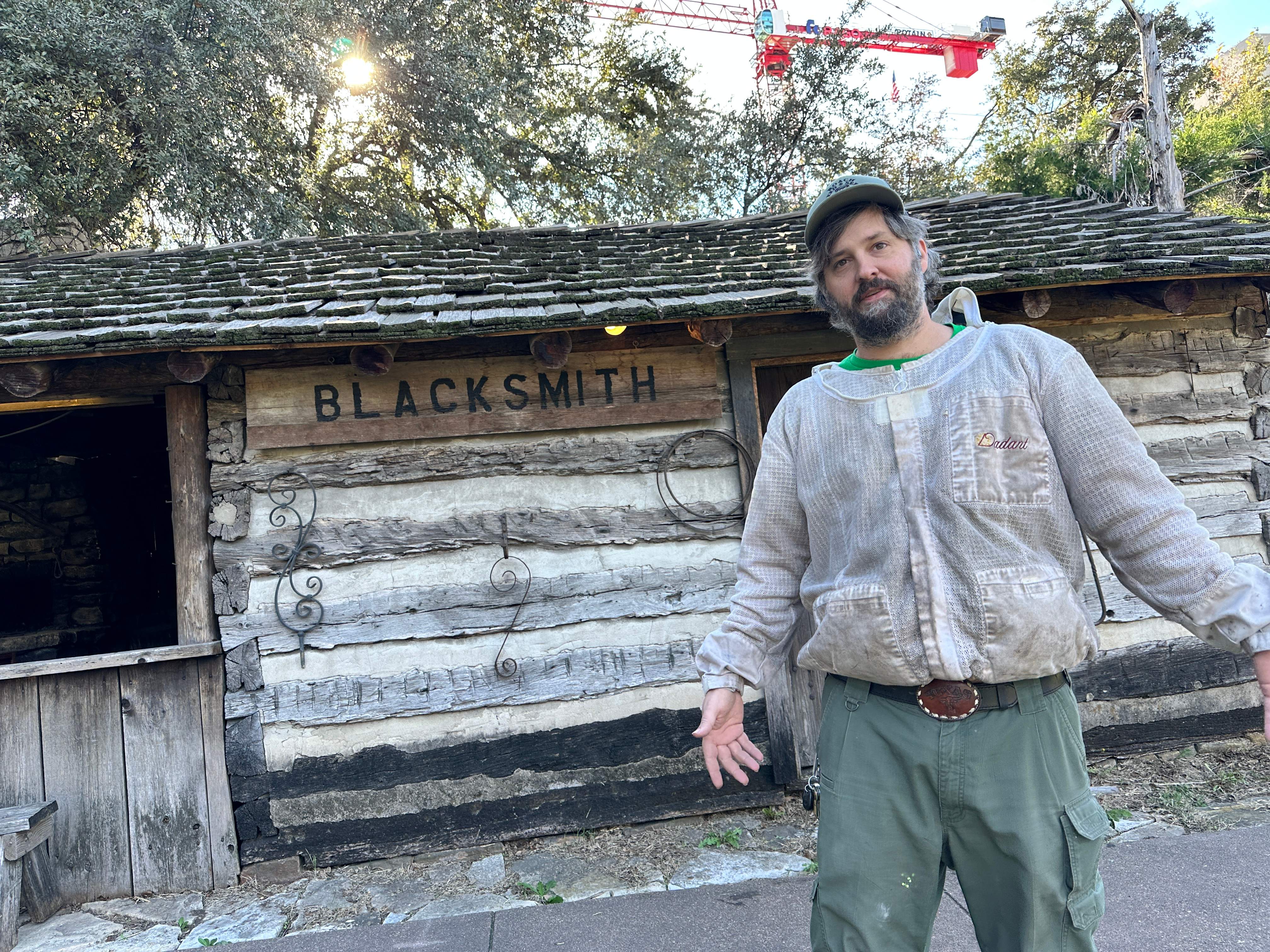 Yellowjackets at City Park by Rockwall Honey Bee Company