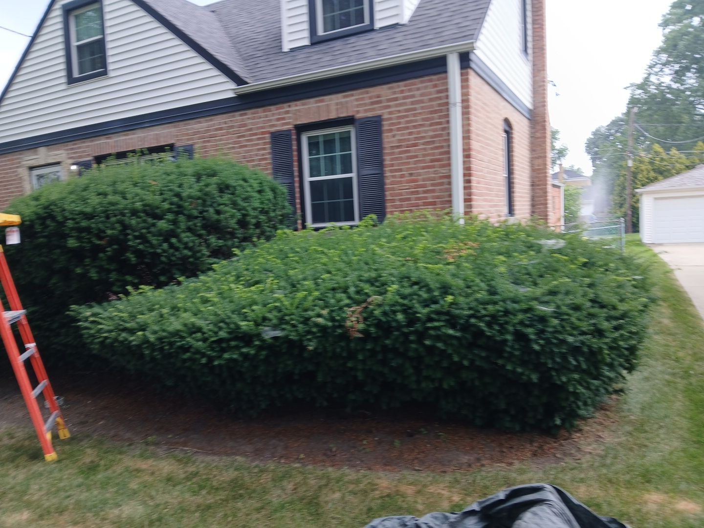Catherine B. - Mount Prospect, IL by A&N