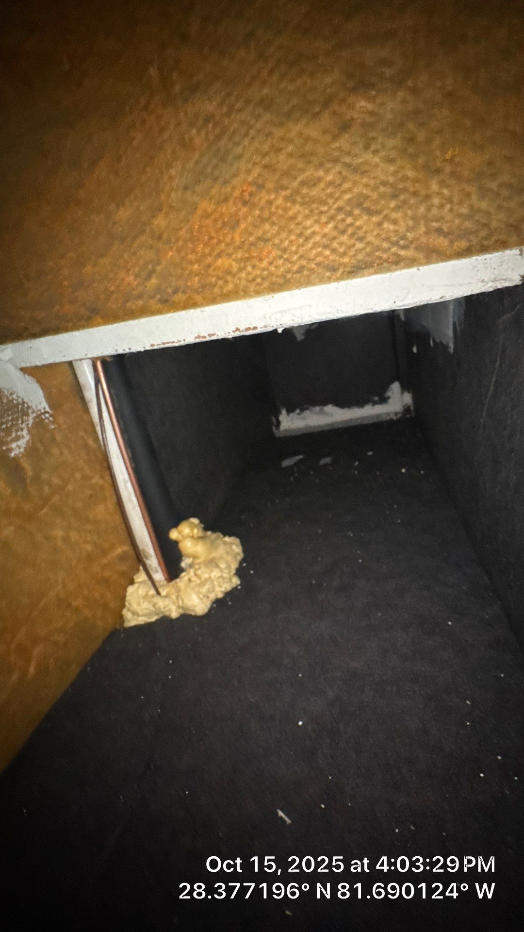 Air Duct Cleaning in Clermont by Hygienic Air, Inc