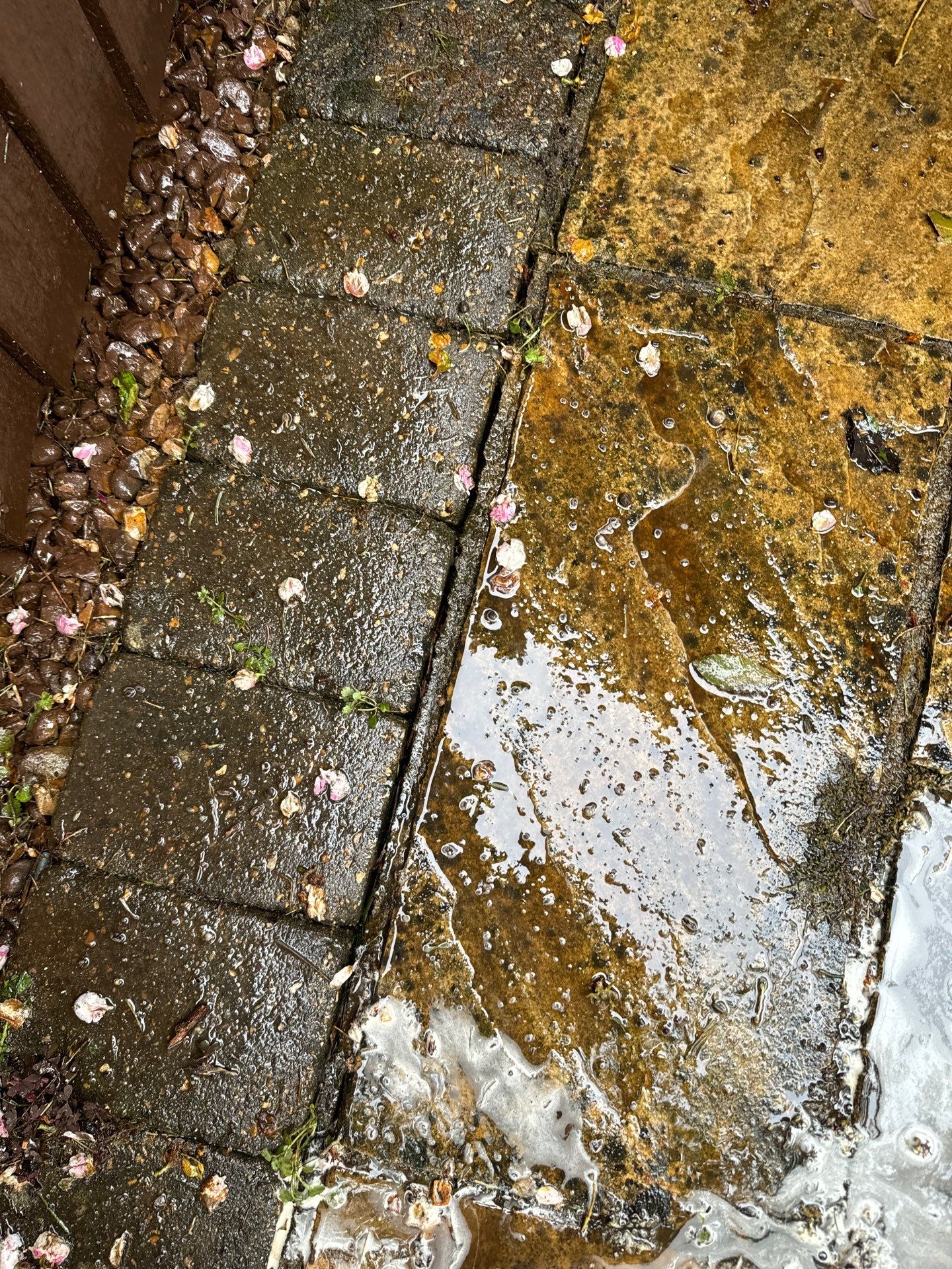 Exterior Clean - Roof - Patio - Driveway using honda 21 ltr/min by Ges Exterior Cleaning ltd