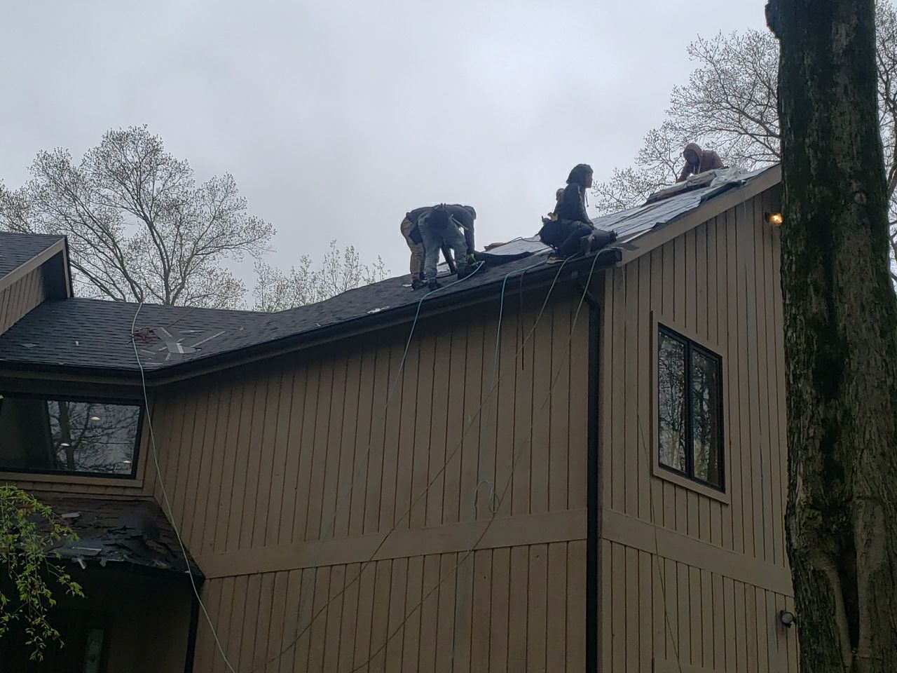 Brand: Atlas Pinnacle Color: Pristine Scotchgard Black Drip: Black by Eagle Eye Roofing