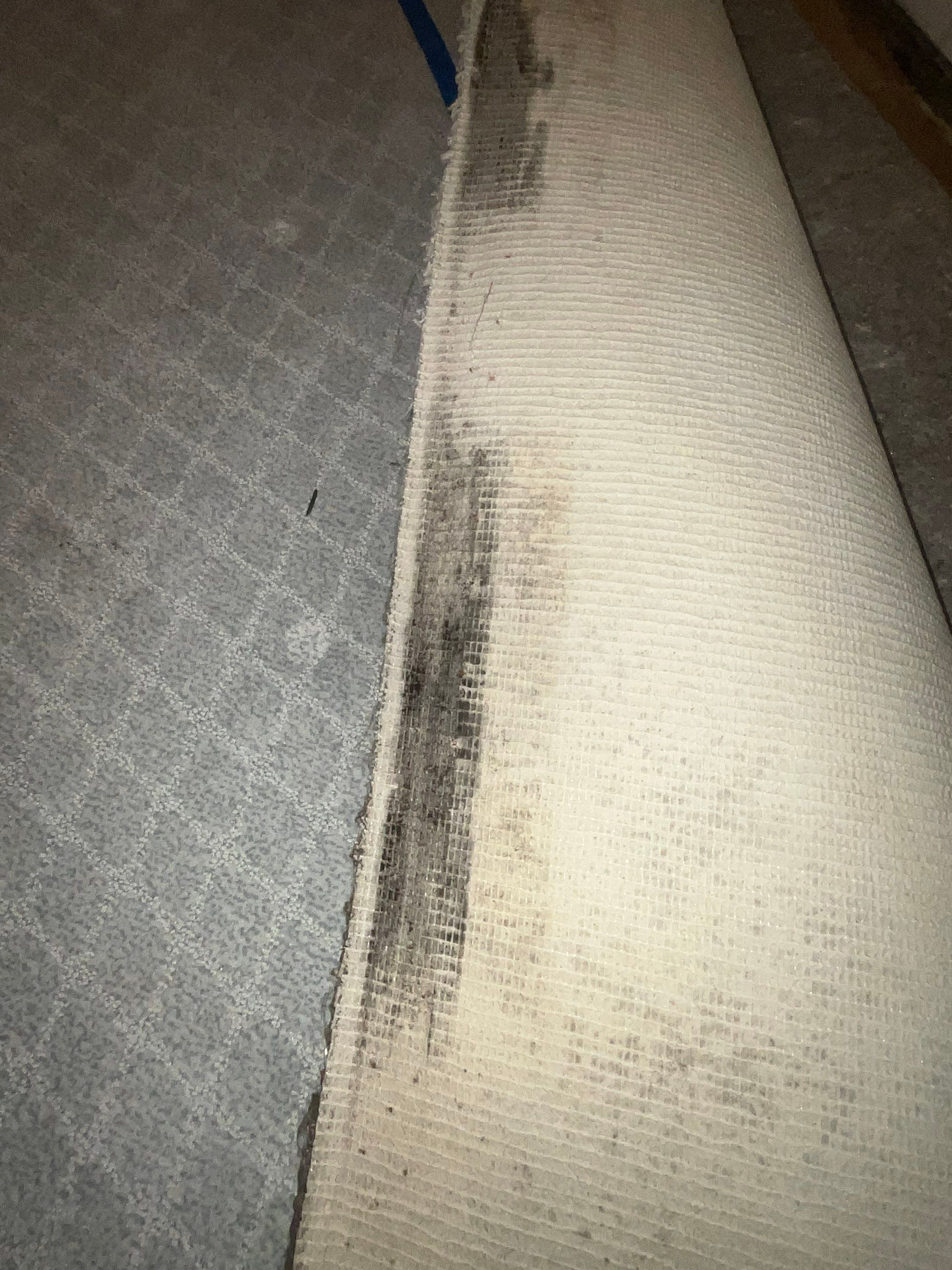 Willetts Rd • Harrison, ny 10528 by A.M. Shield Waterproofing, Corp.