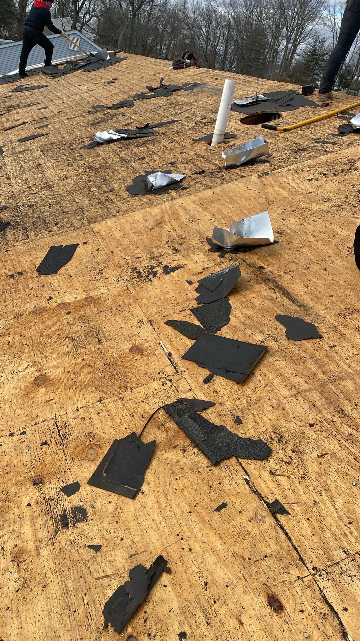 Pewter Gray Shingles by Reimagine Roofing