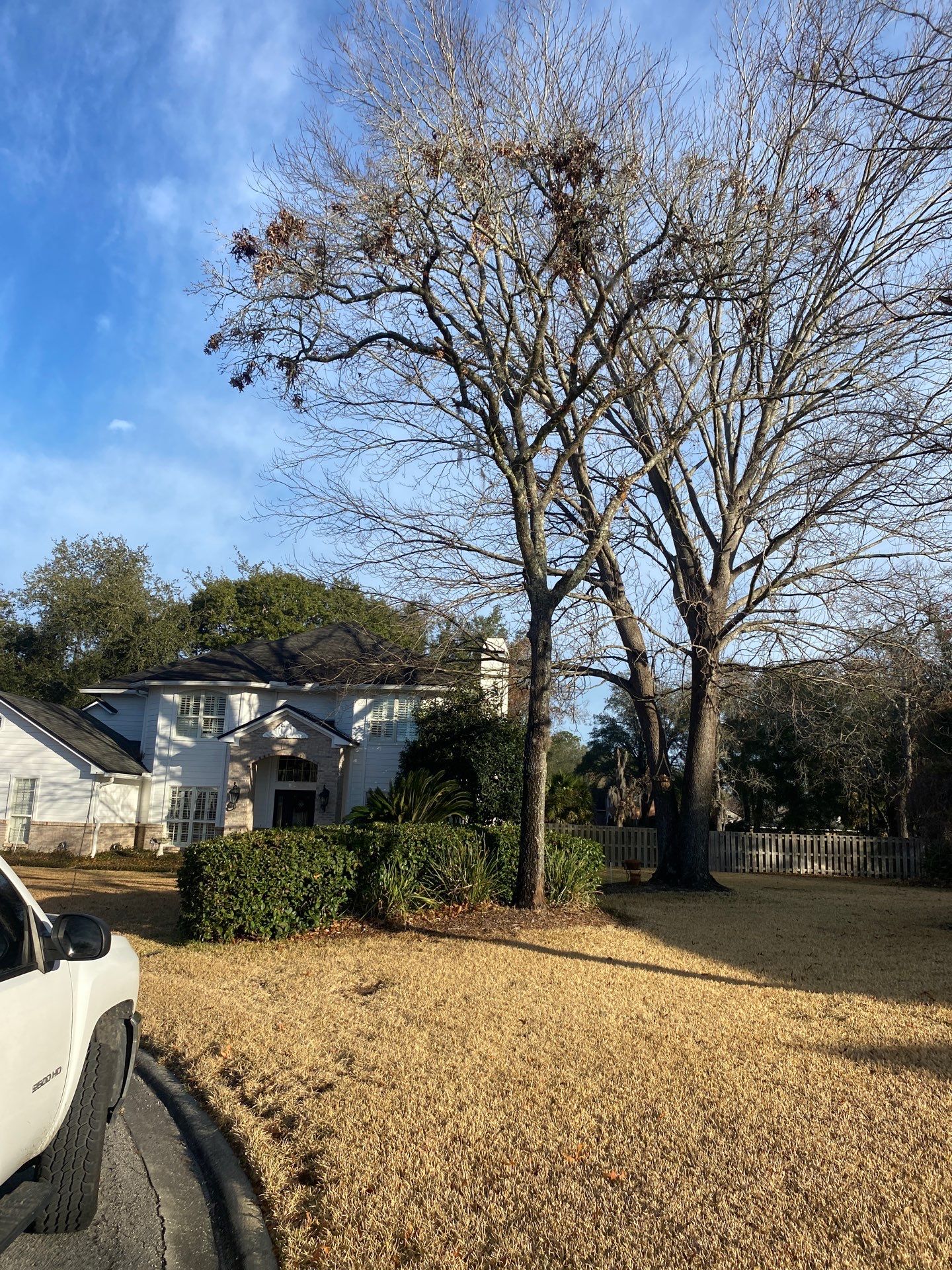 Deerwood Resident | Tree Removal by ProGreen Services