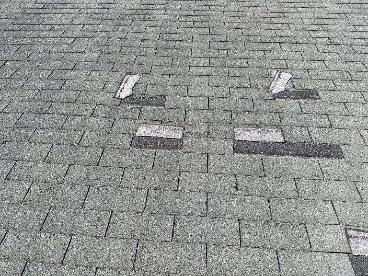 Residential Roofing Installation using Atlas Pinnacle Pristine Coastal Granite by Talya Roofing
