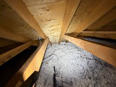 Project in Cambridge