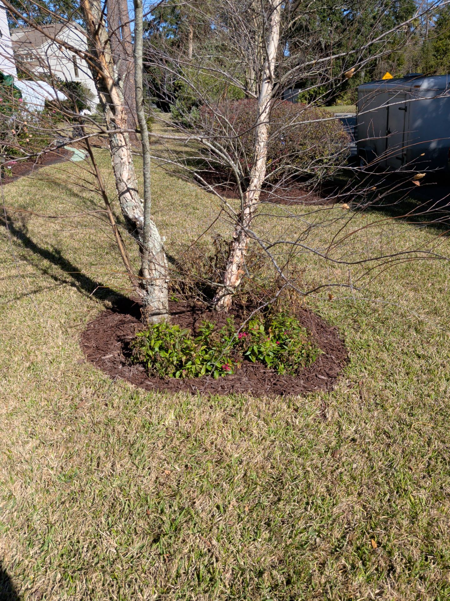Flower Bed Cleanup & Mulch Preparation — Jacksonville Beach by Harmoni Home Services