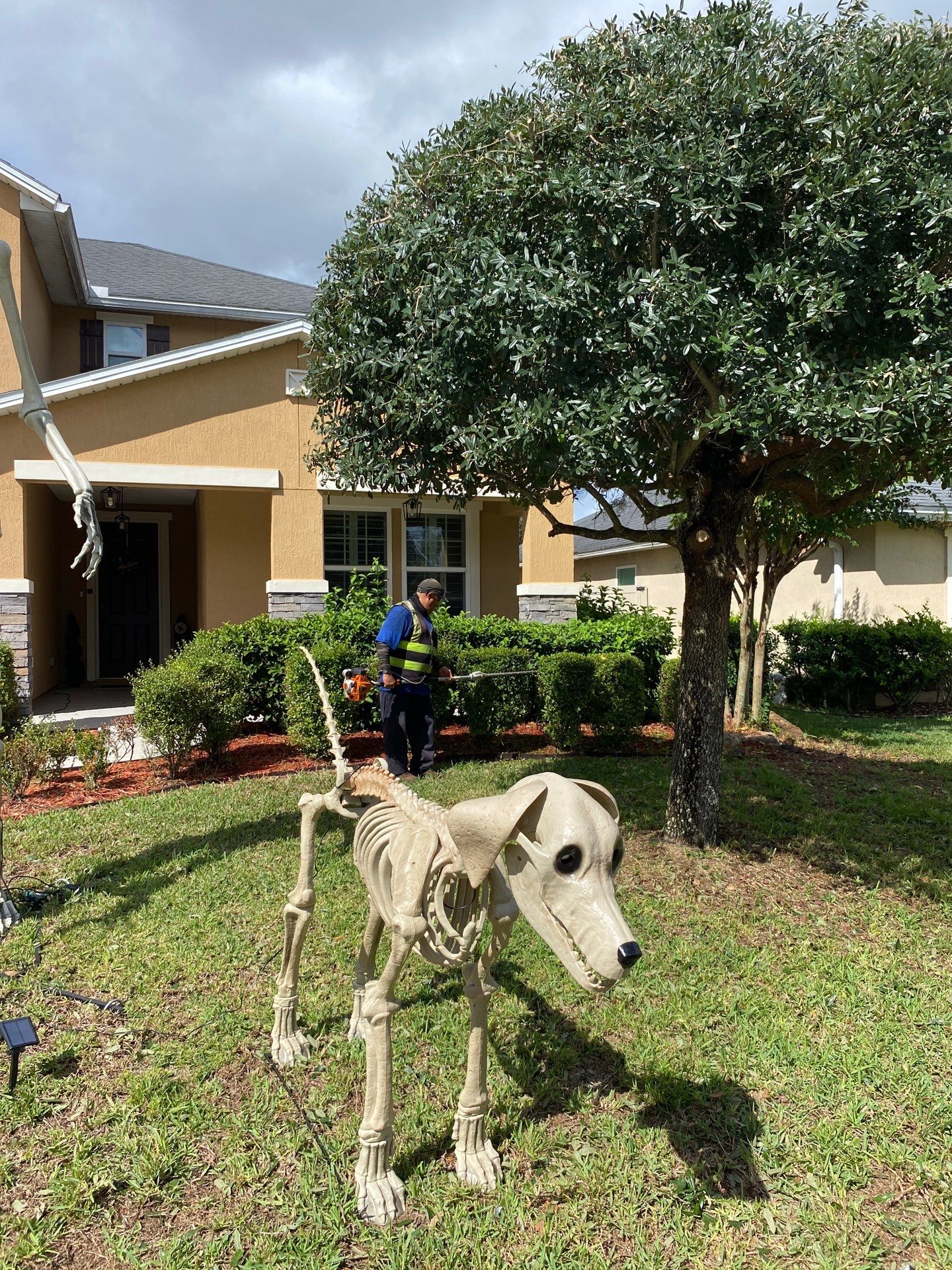 Property Clean Up | Residential by ProGreen Services
