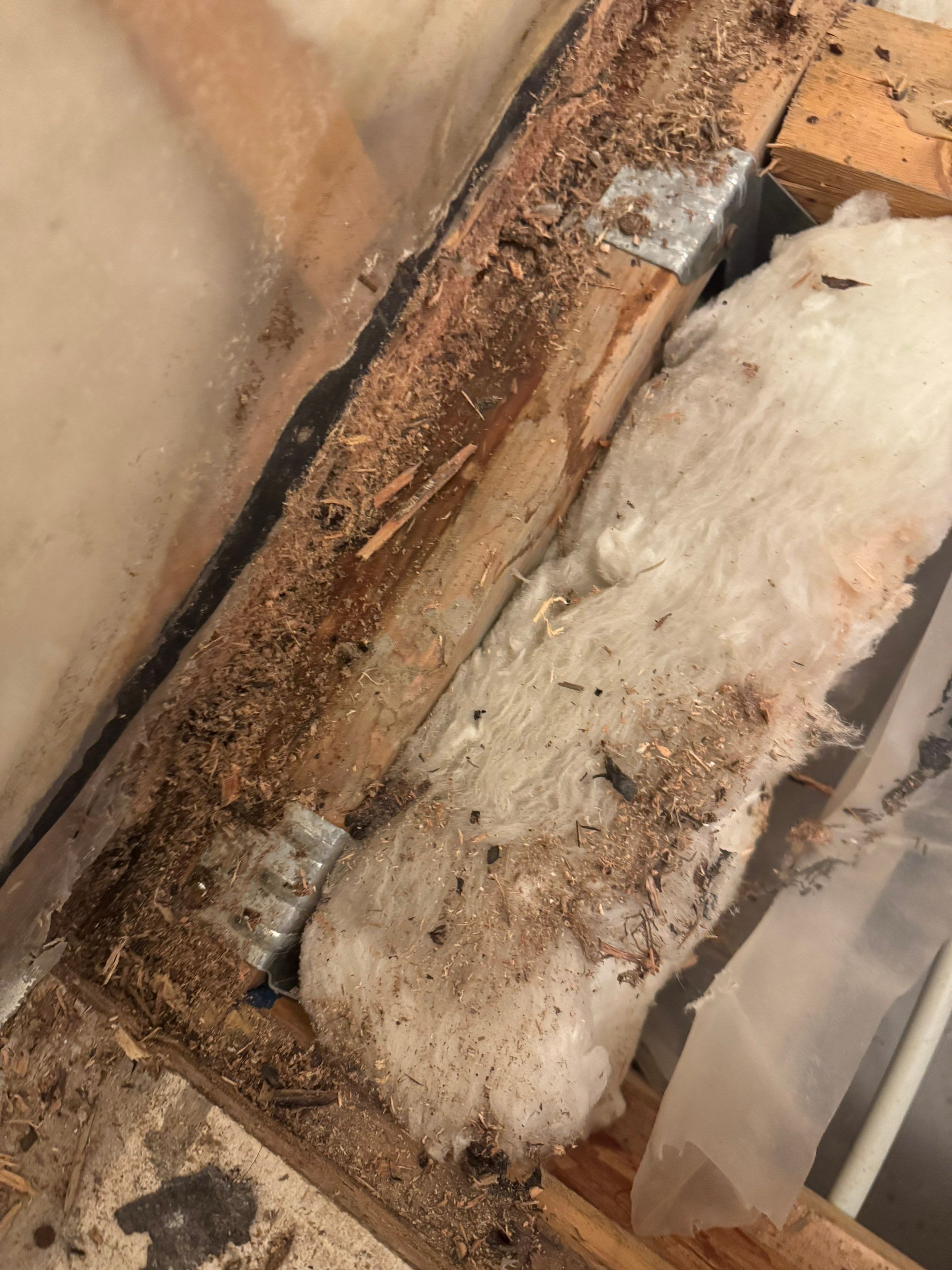 High-End Laundry Room Renovation and Restoration in Vancouver by YVR Construction Group