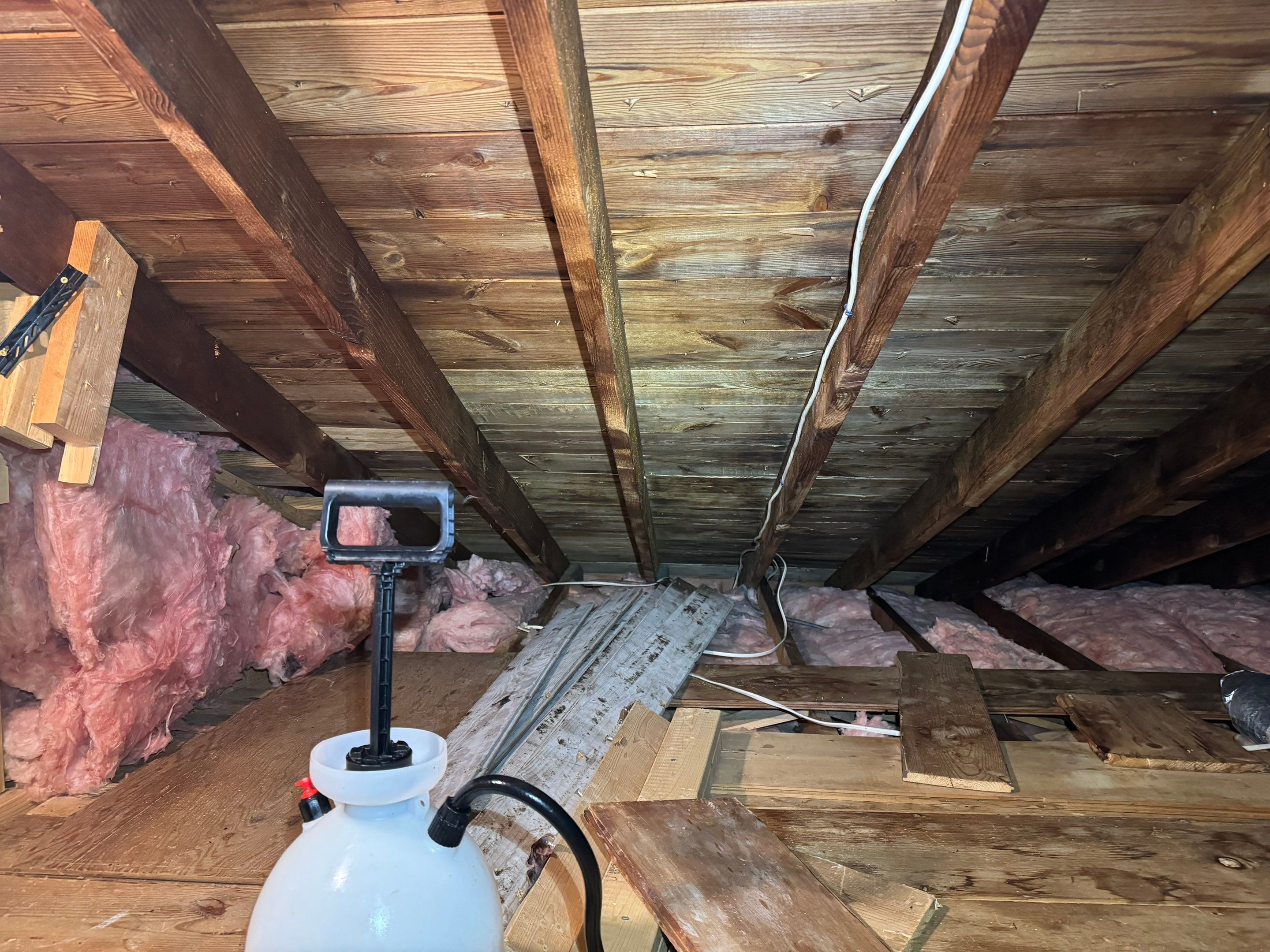 Attic & Sunroom Mold Remediation by Home Guarantee, LLC
