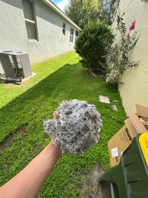 Air Duct Cleaning in Clermont