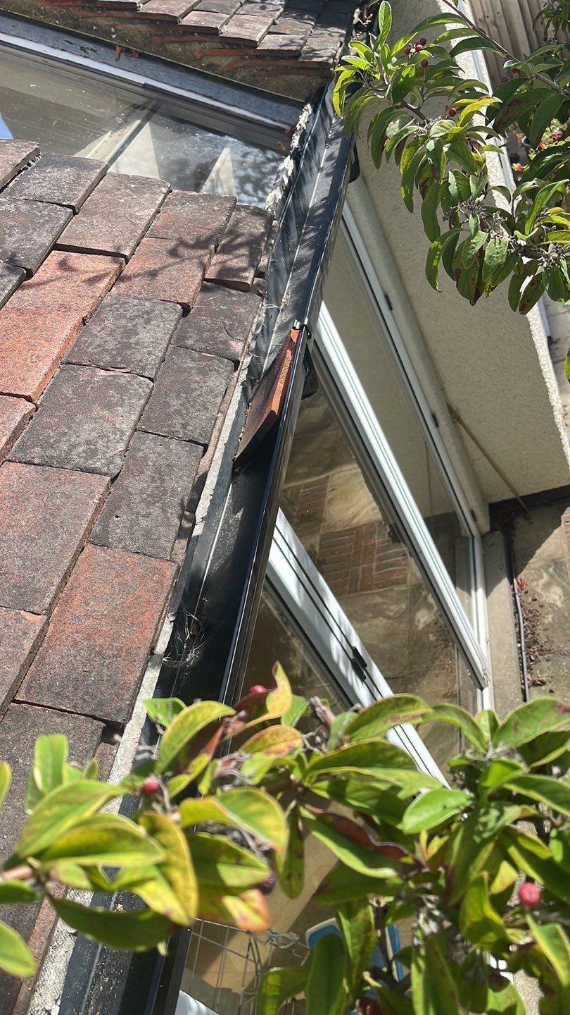 Roof Clean - Biocide Treatment using Honda 15lpm Low Pressure Washing Machine by Ges Exterior Cleaning ltd