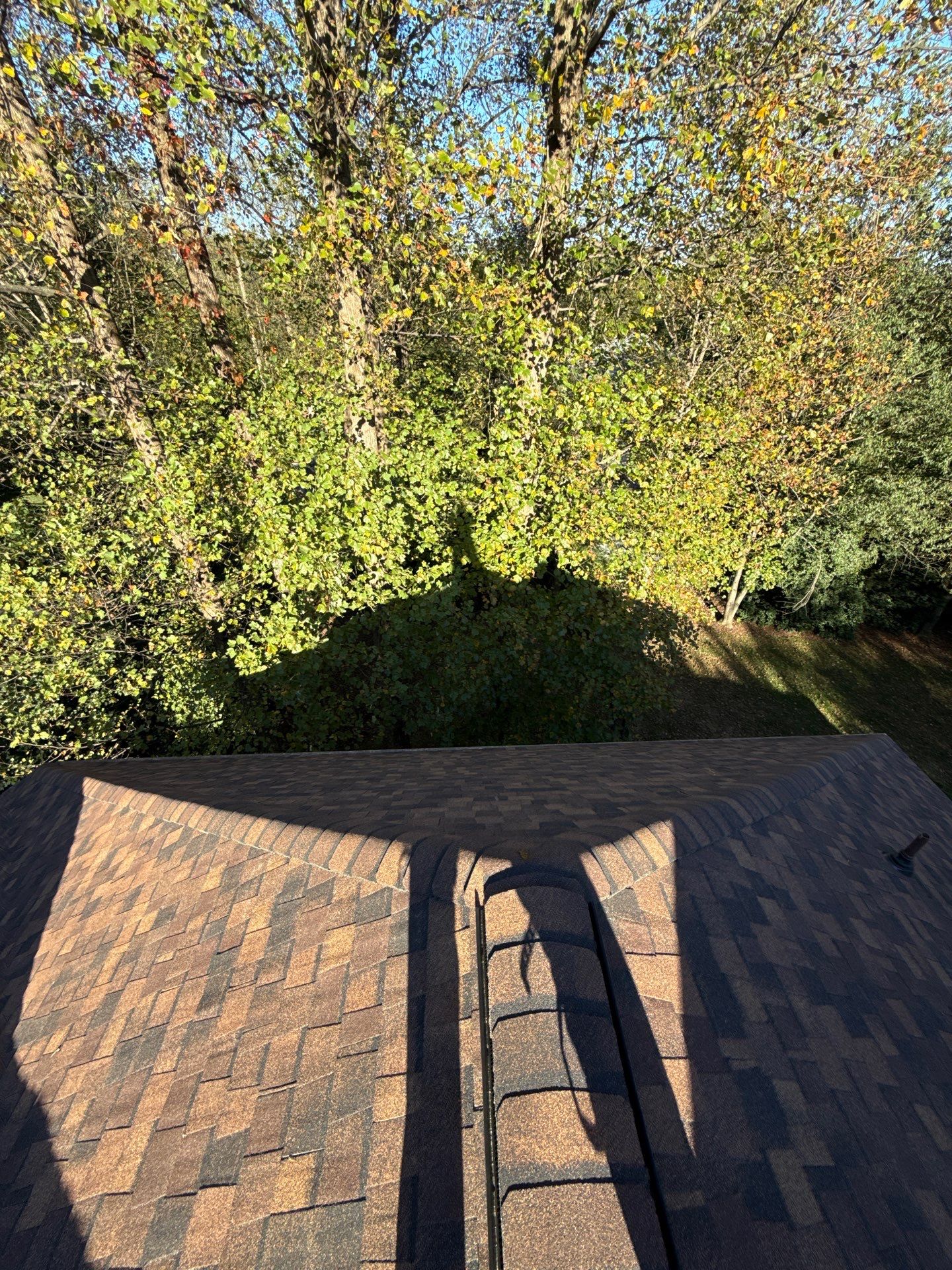 Great Falls : Residential Roof Replacement with CertainTeed Landmark Pro in Max Def Burnt Sienna  by RM Banning, Inc.