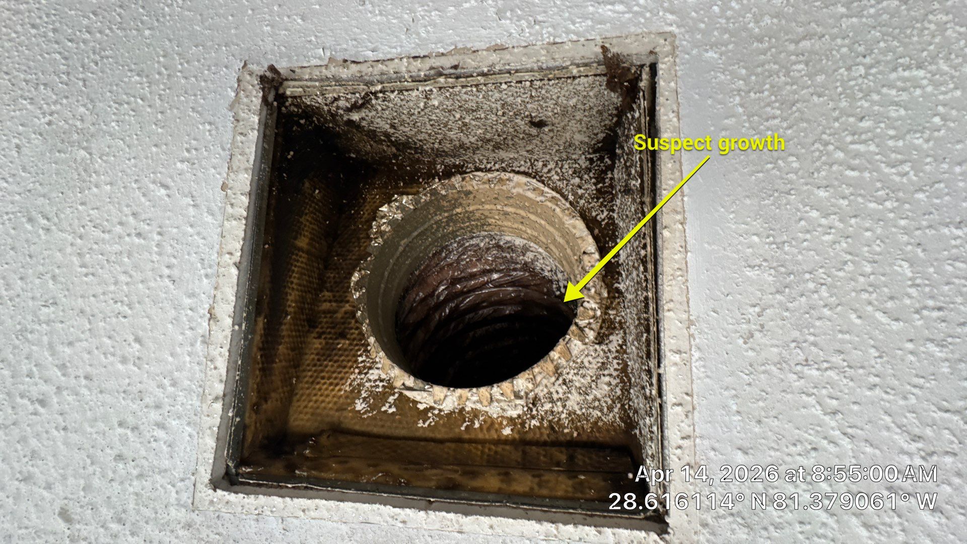 Air Duct Cleaning in Maitland by Hygienic Air, Inc