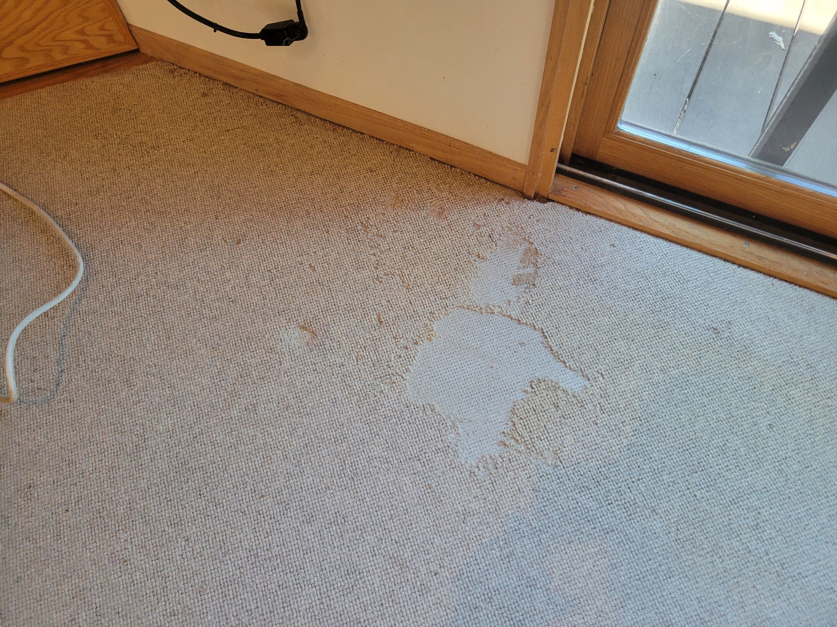 Repair and Cleaning of Wool Carpeting by Ardent Carpet Restore LLC