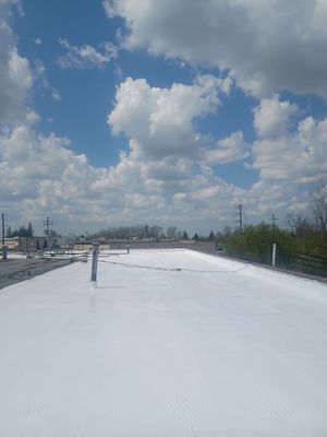 Commercial Flat Roof Restoration in Brunswick, OH