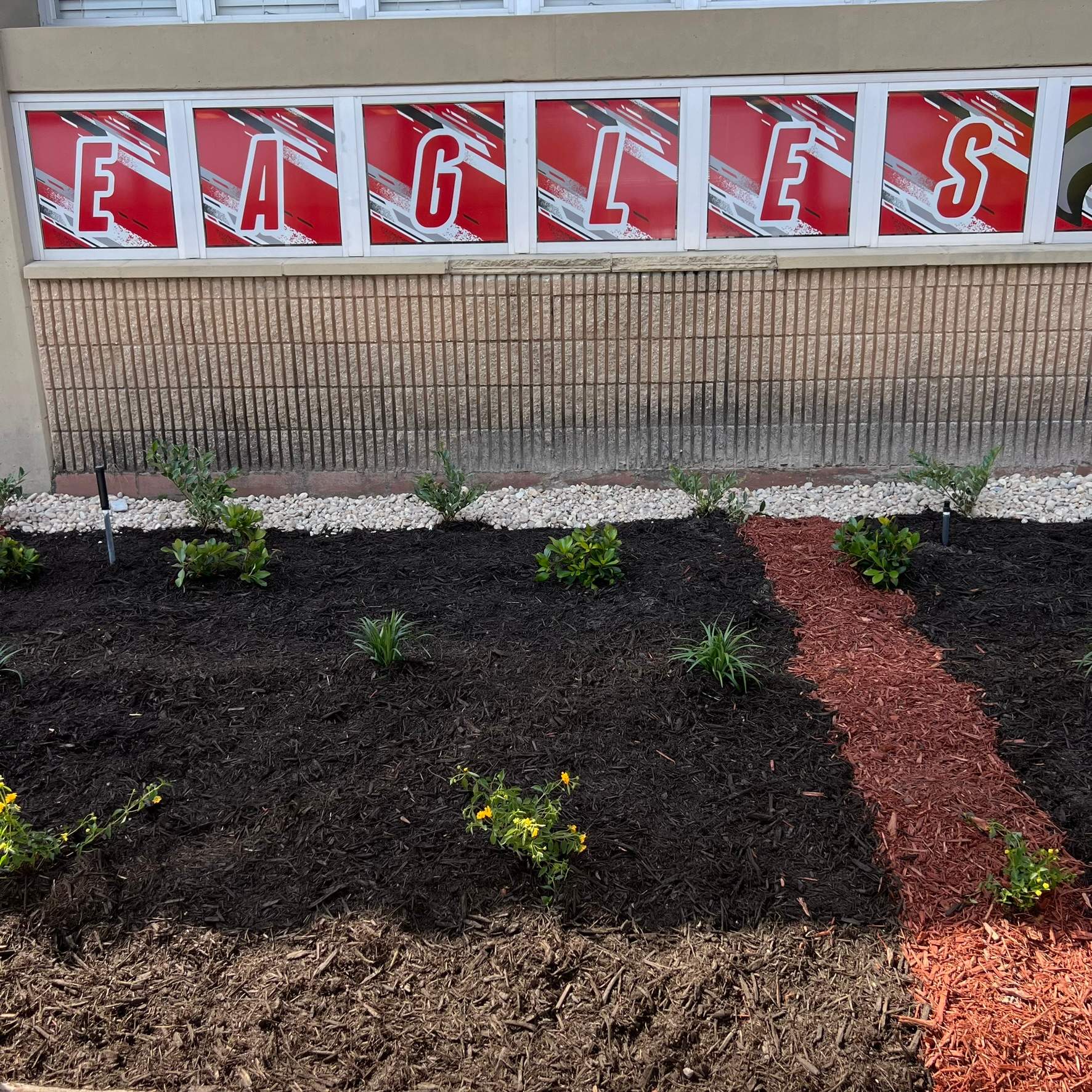 Landscape Install | Wilkinson JHS by ProGreen Services