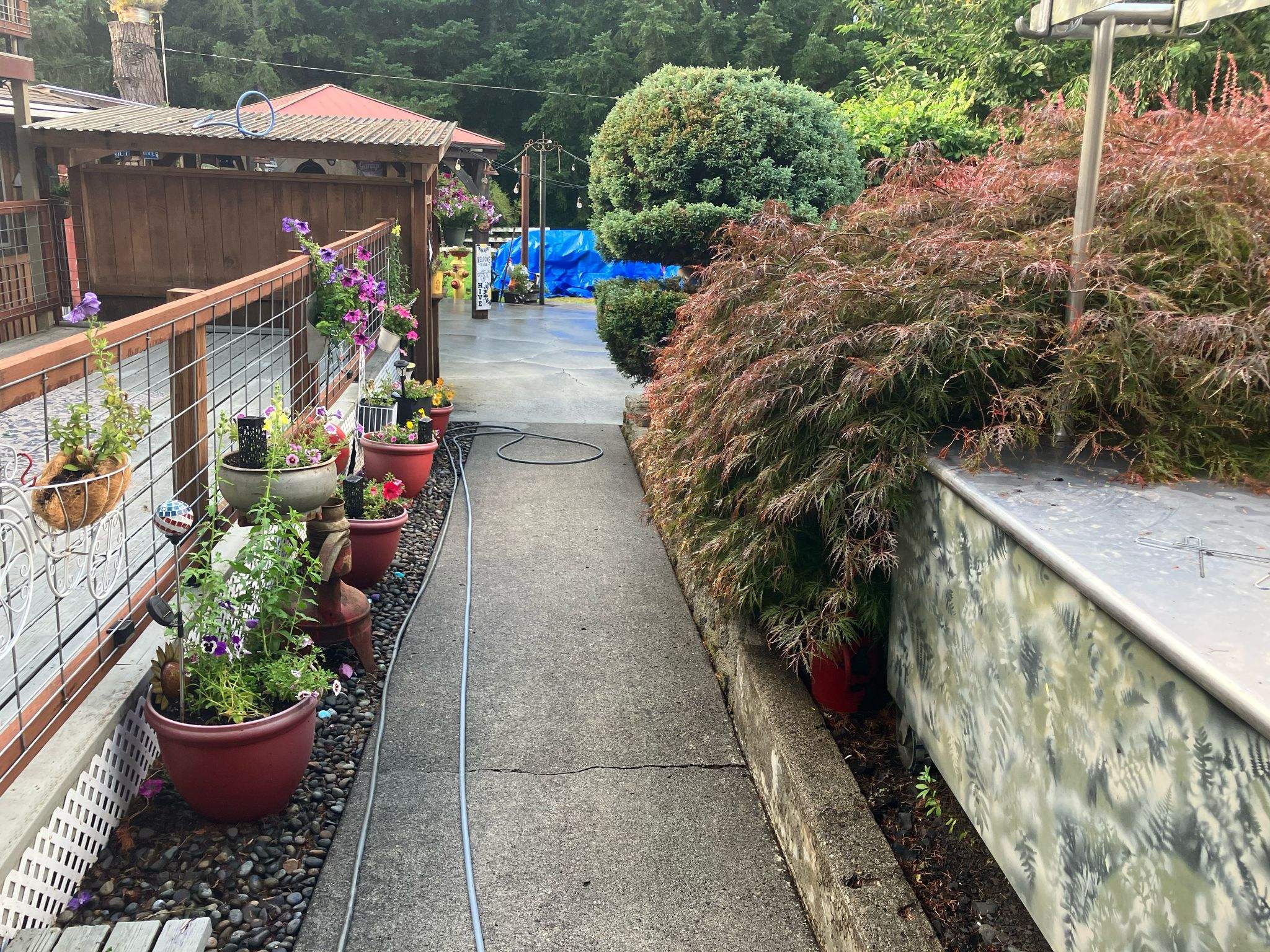 Vuba Back Patio by Concrete Coating Experts Inc.