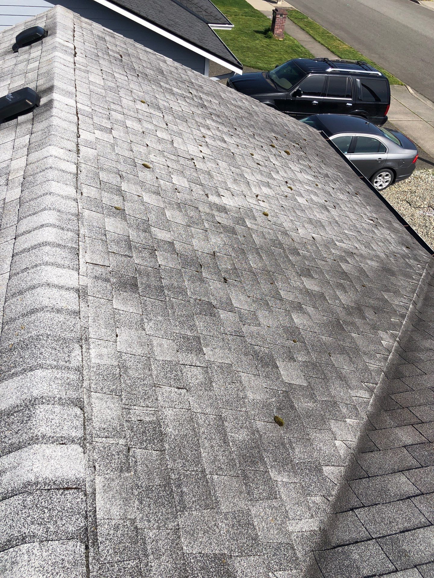 Project in Arlington by Peaks and Valleys Construction