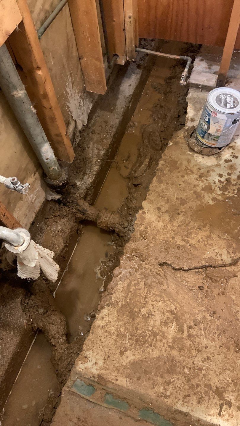 Upgrading Nicole & Gary’s 1960s Beaver System in St. Paul by Waterproofing Northeast