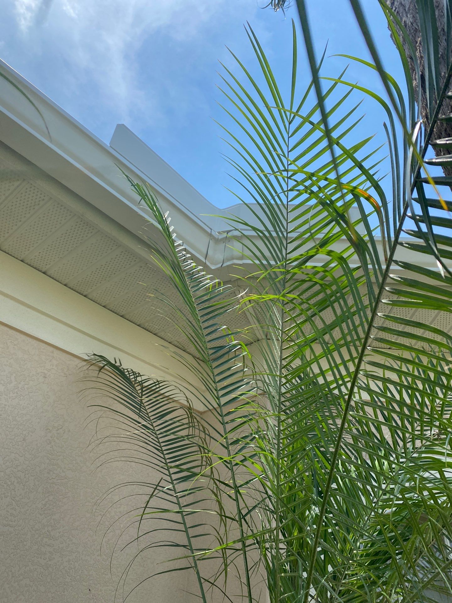 Seamless Gutter Upgrade Before & After in Bonita Springs FL by Gutter Professors