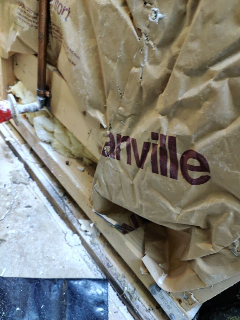 Mold Remediation by Accountable Home Services