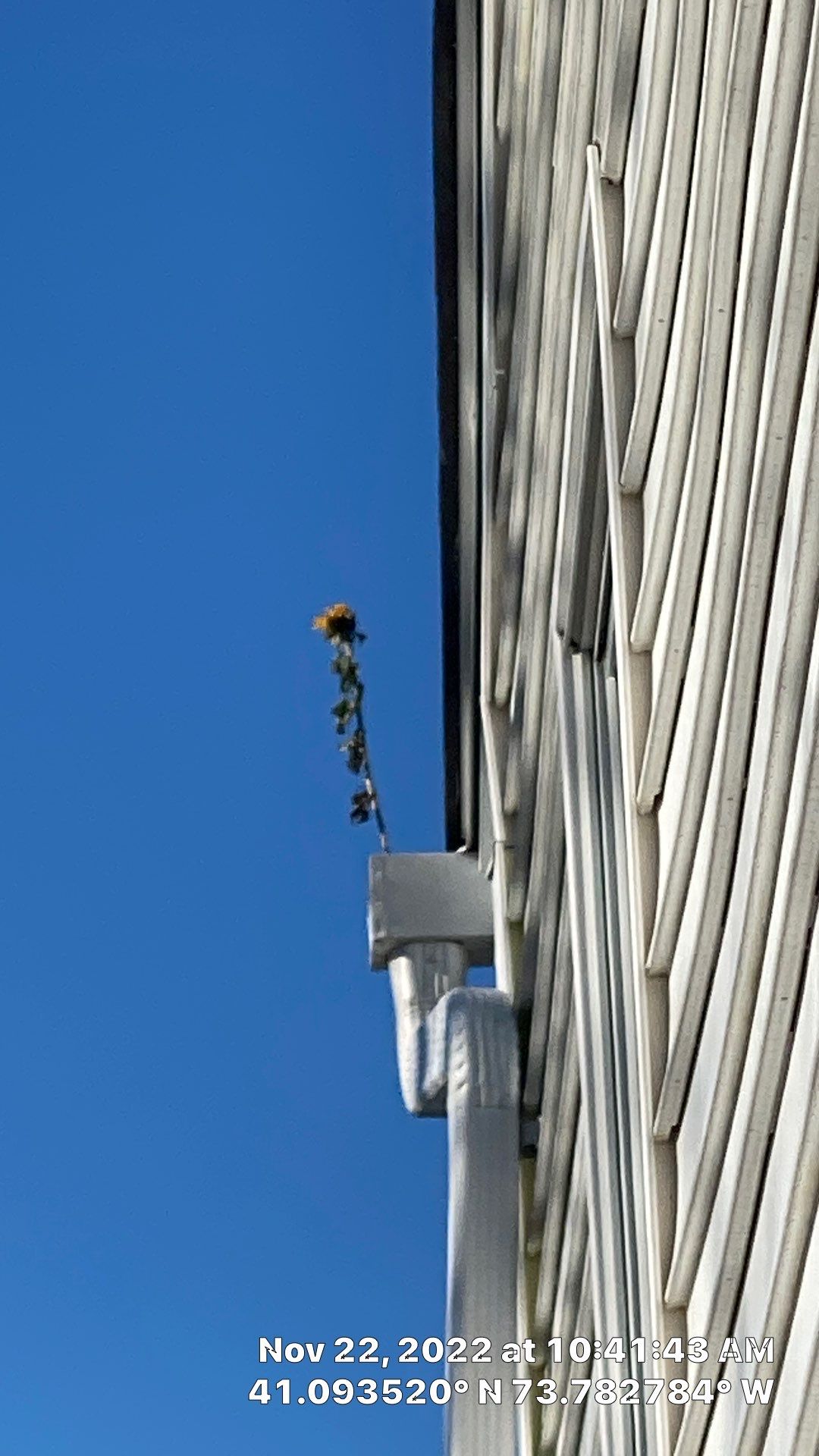 Awh, you shouldn't have! by Above All Gutters