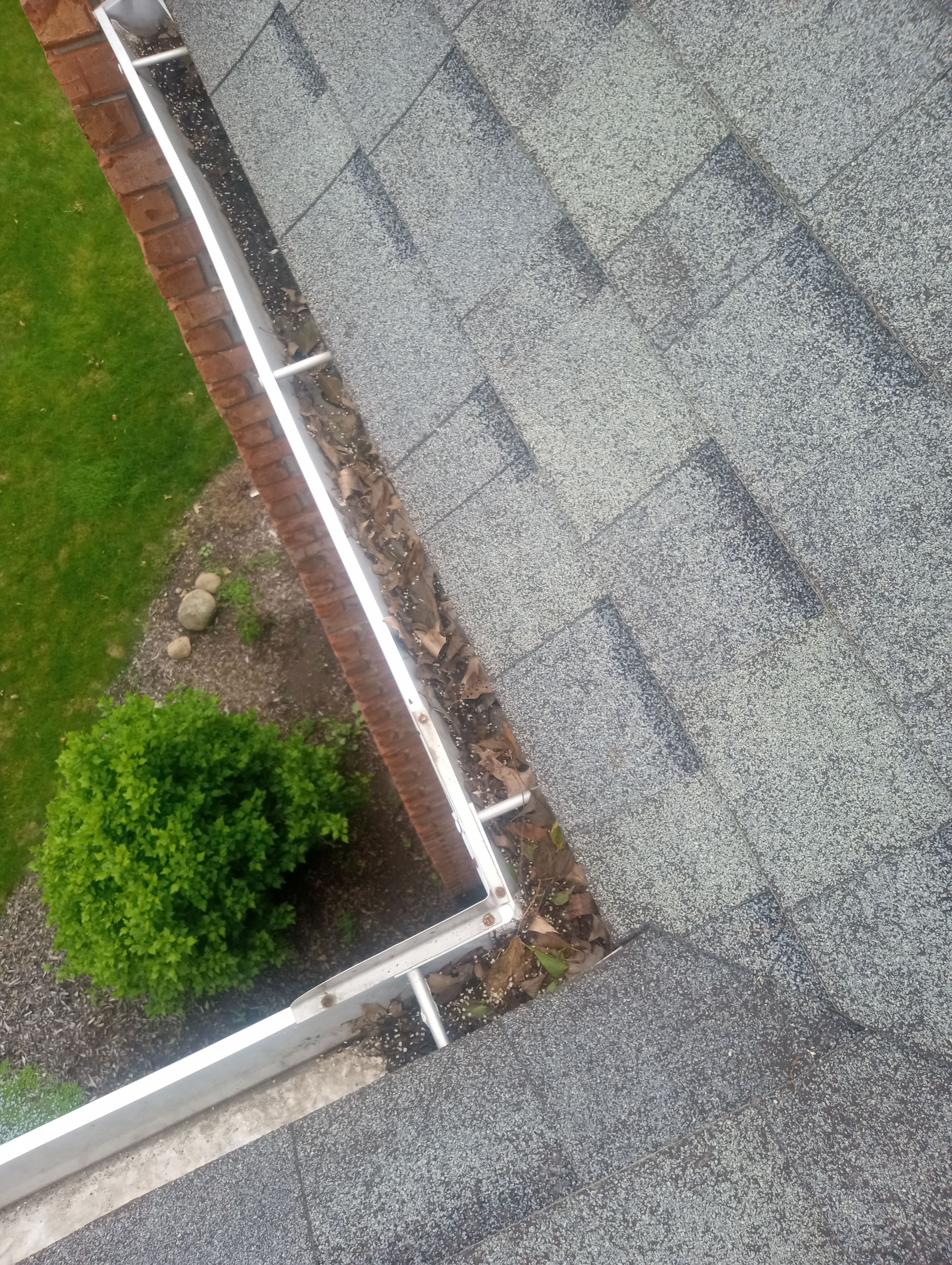 Tom Colelli by Silver Leaf Contracting 