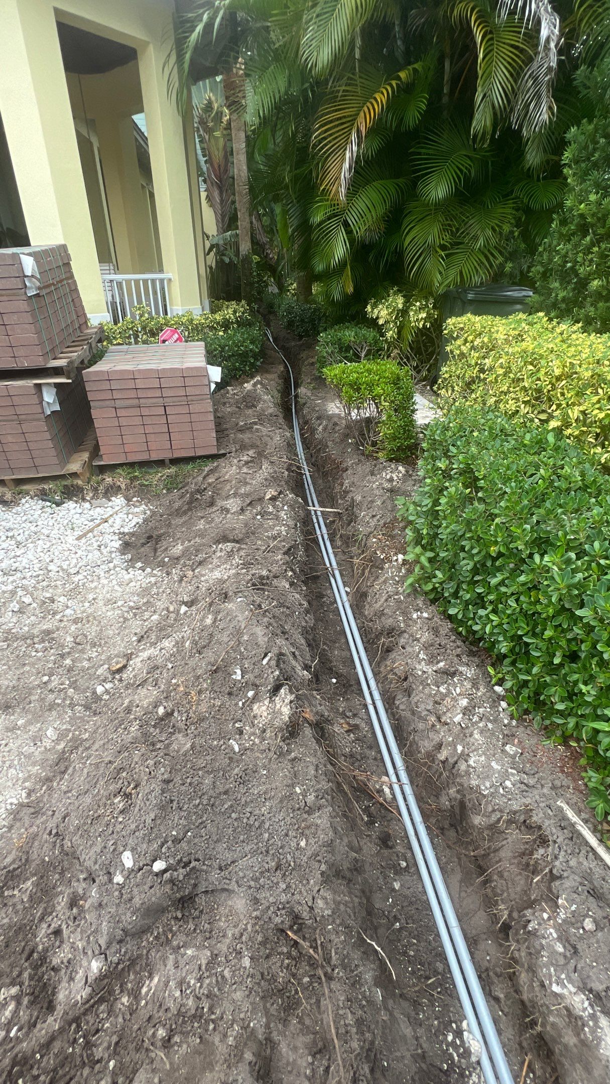 Hazard  by The Landscaping People