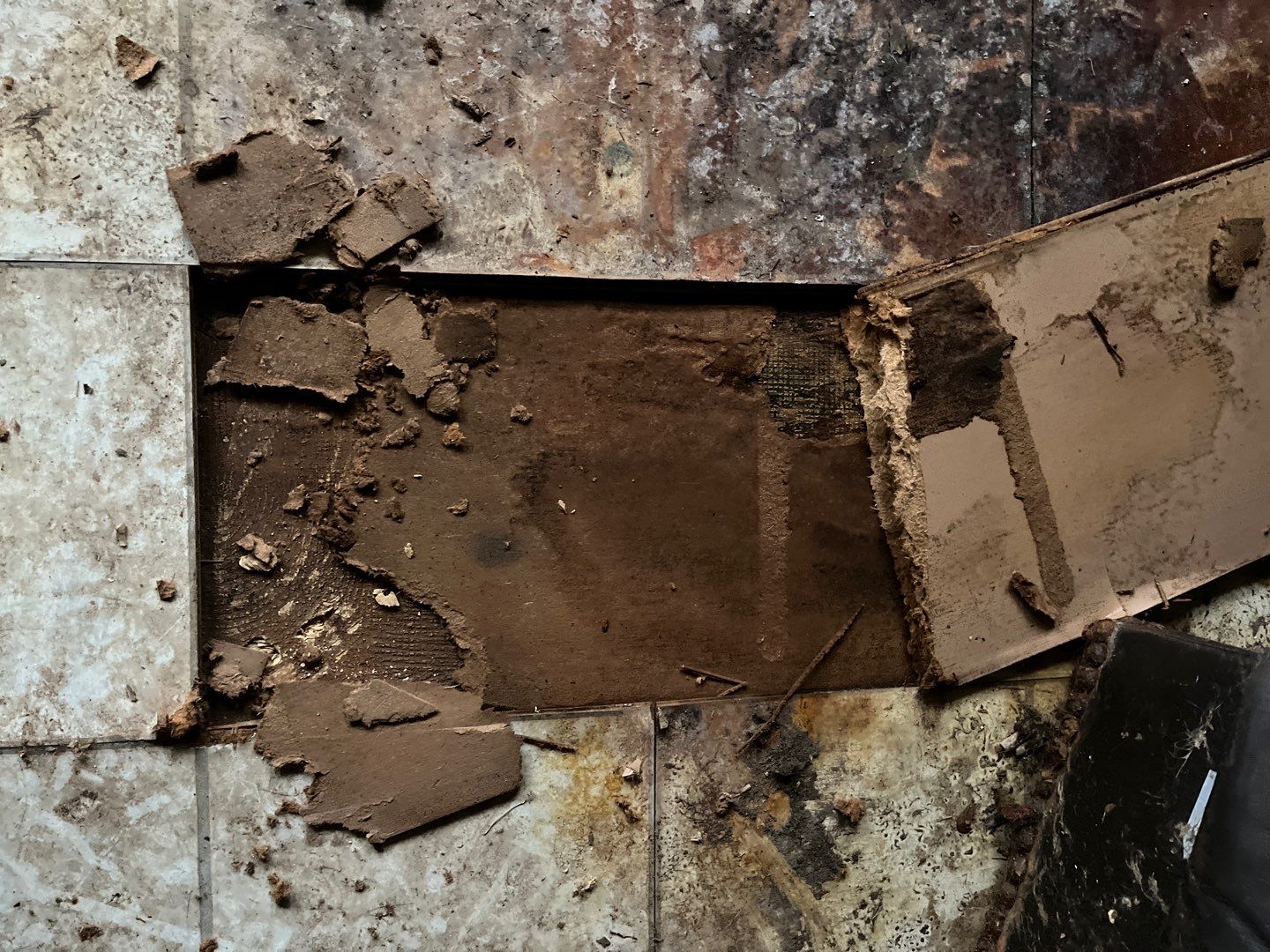 Residential Demo by EAS Environmental, LLC.