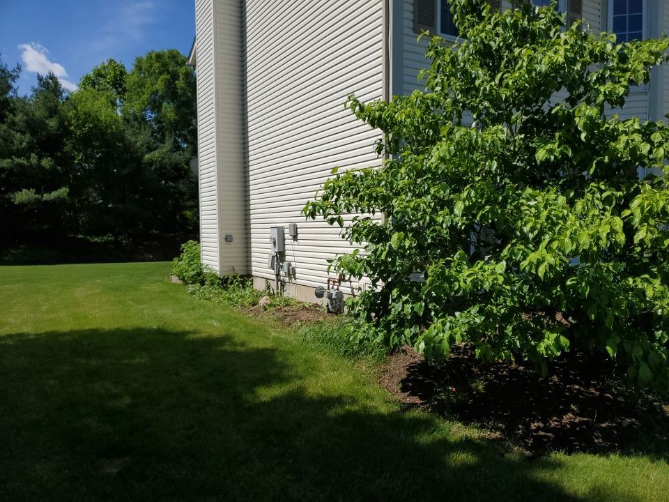 Tree Removal using Tree Removal by Mike Jones & Sons Tree Service LLC 