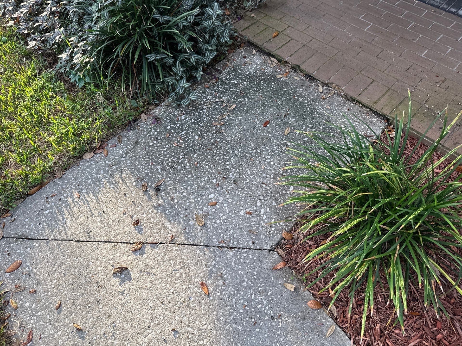 Concrete Driveway & Sidewalk Cleaning in Valrico, FL by Sunshine AquaWash
