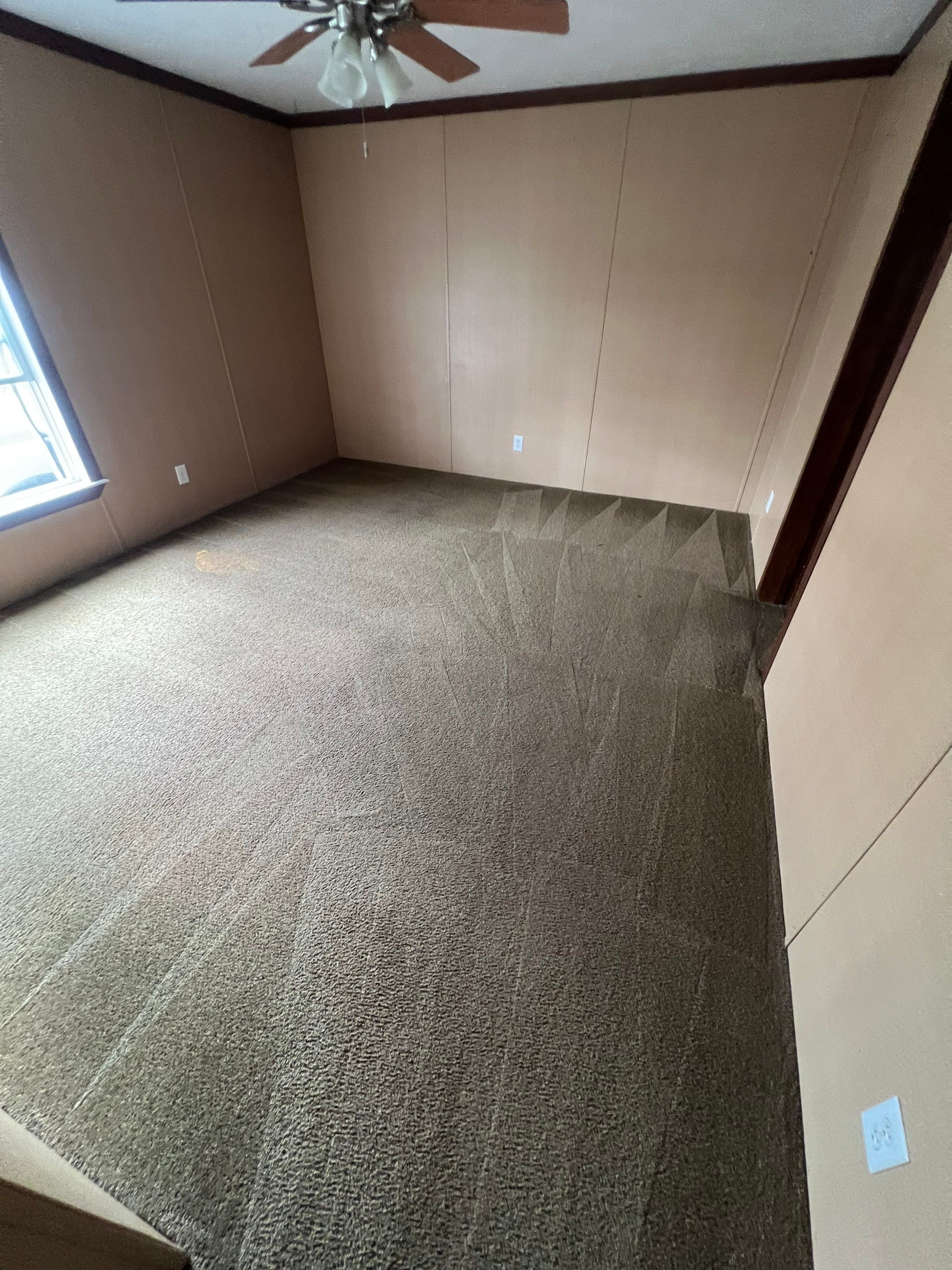 the service shown is carpet cleaning in a room with recently cleaned carpet showing distinct patterns from equipment used