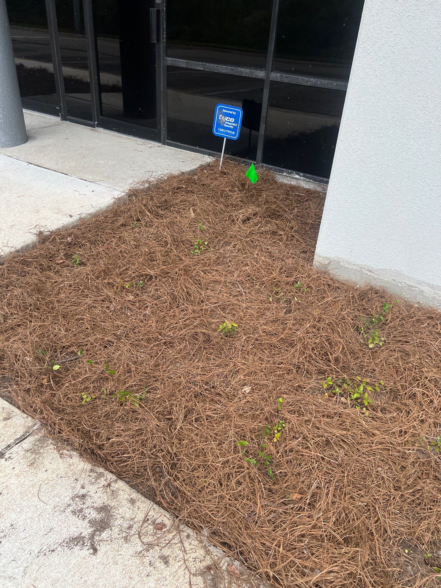 Large Landscape Project | Center Point by ProGreen Services
