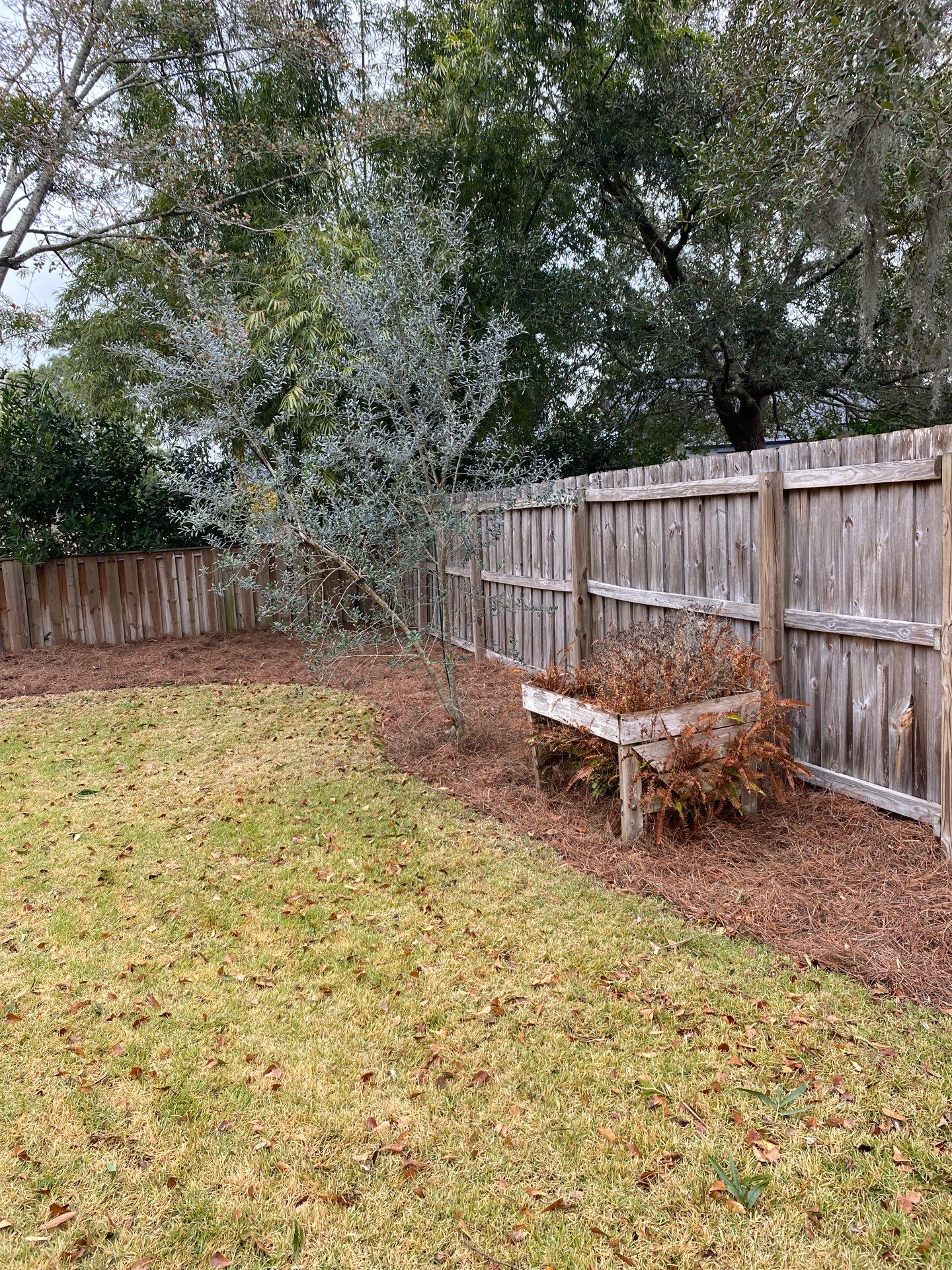 Deerwood Resident | Pine Straw Install by ProGreen Services